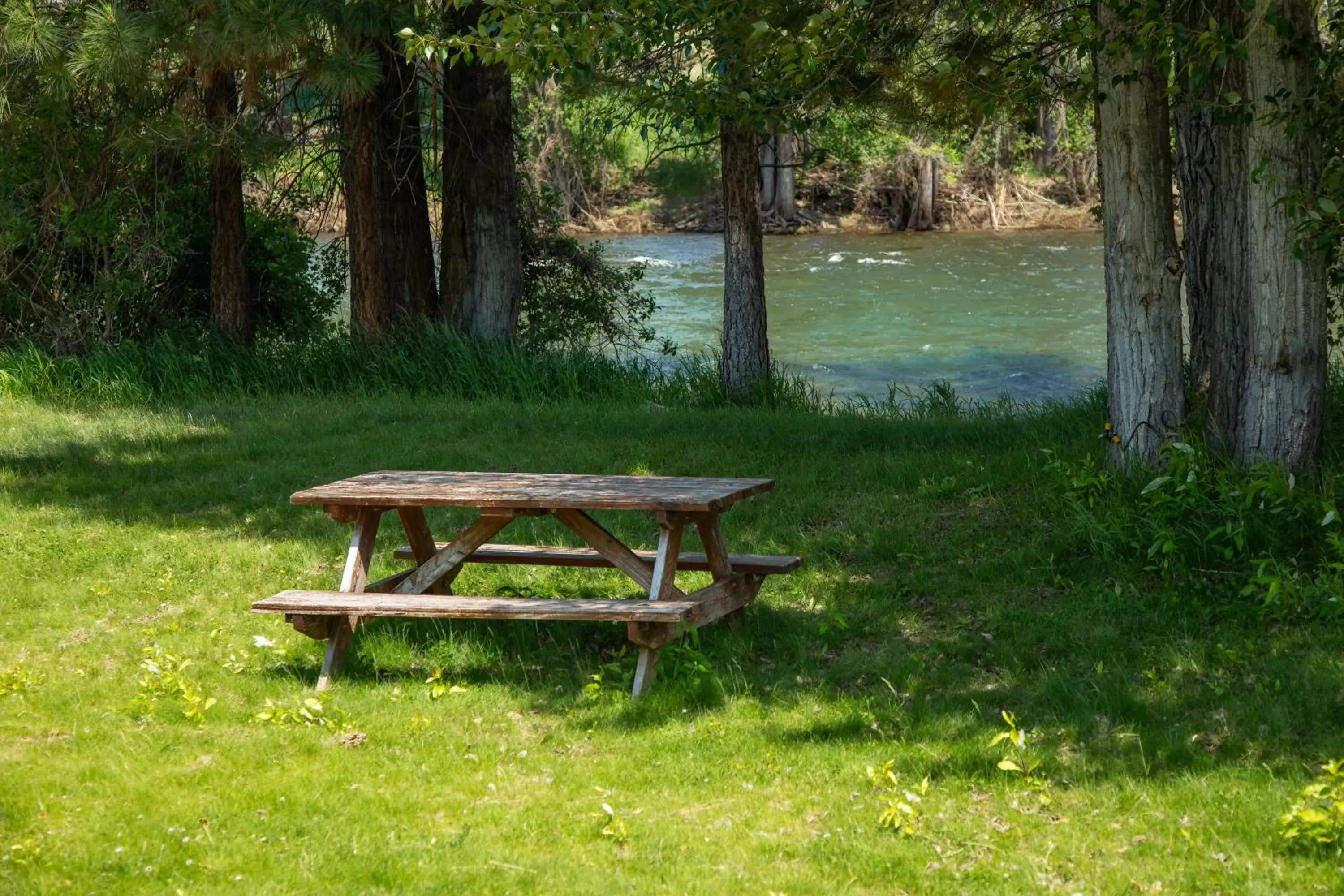 River view in AbbyCreek Inn River view in AbbyCreek Inn