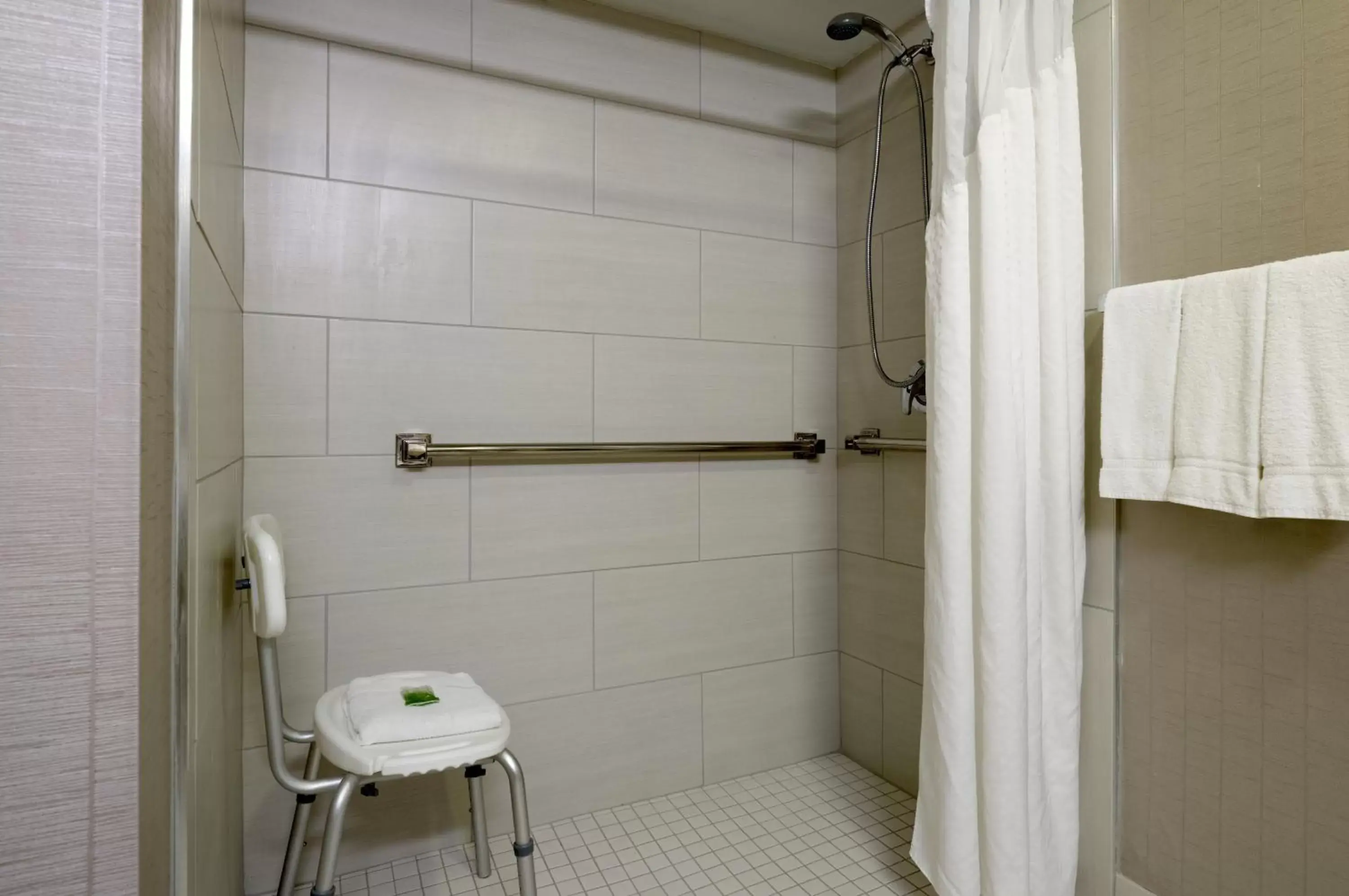 Shower, Bathroom in Holiday Inn Express Hershey-Harrisburg Area, an IHG Hotel