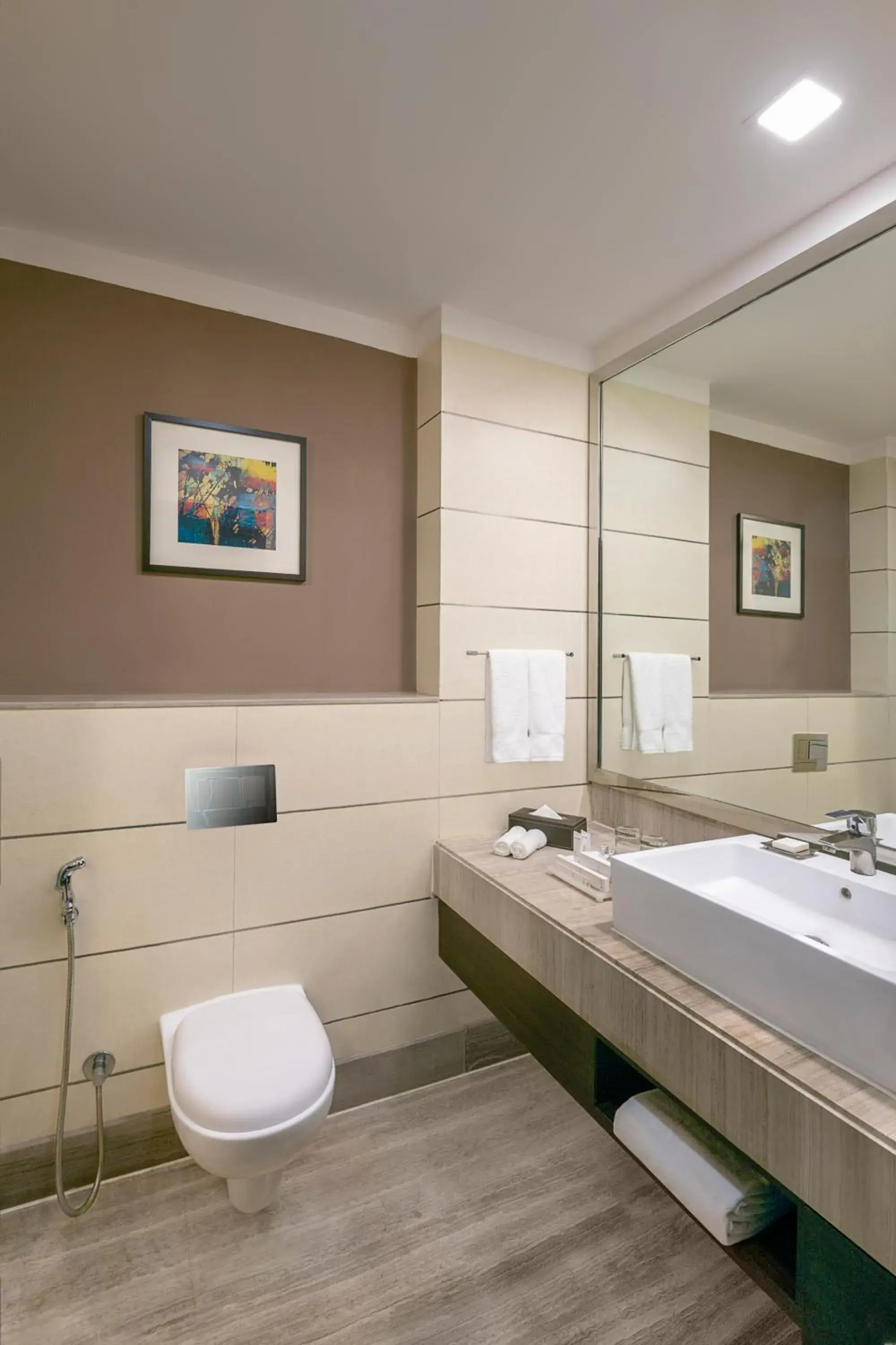 Bathroom in Radisson Blu Pune Hinjawadi