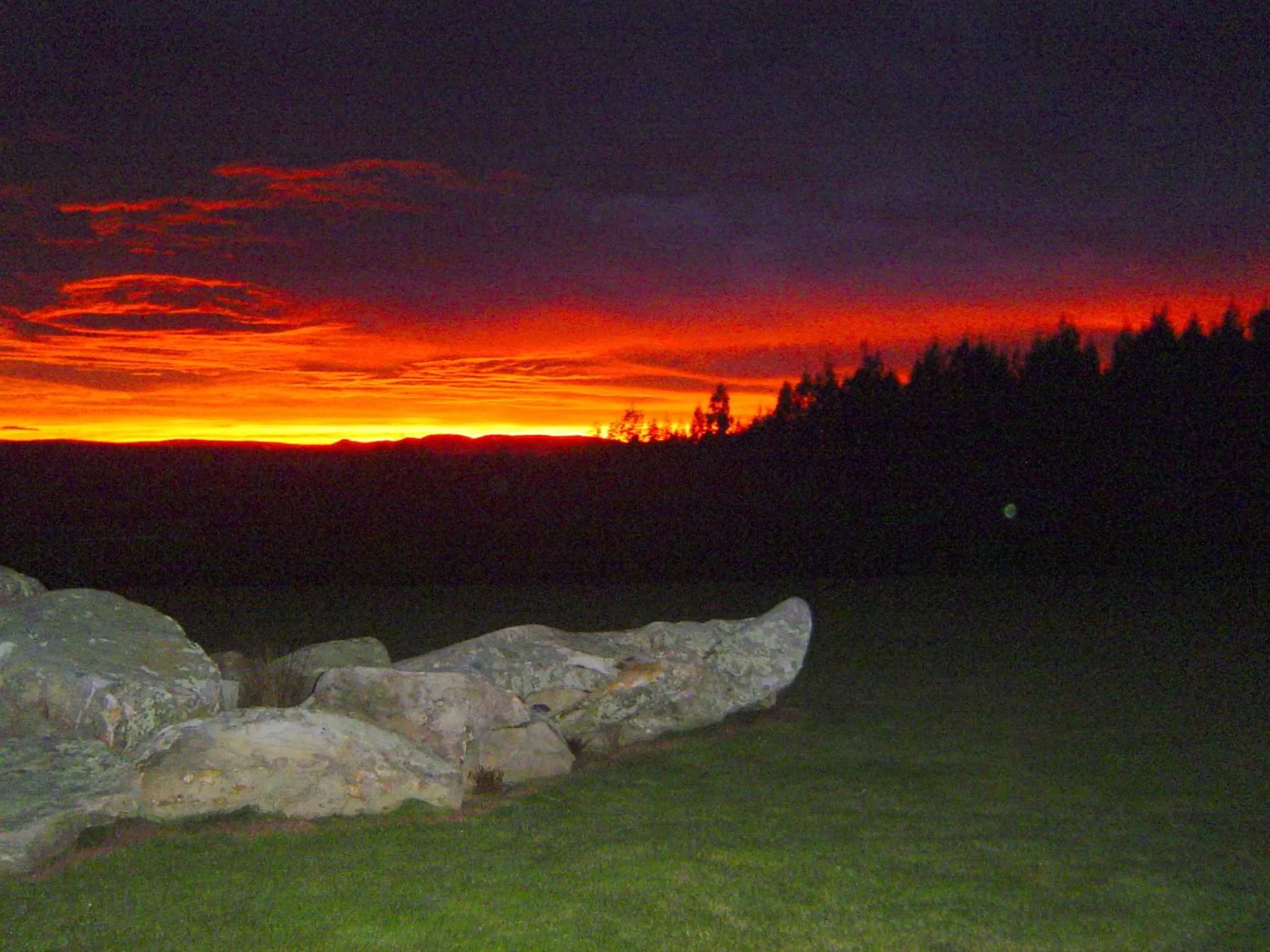 View (from property/room) in Hokonui Bed & Breakfast