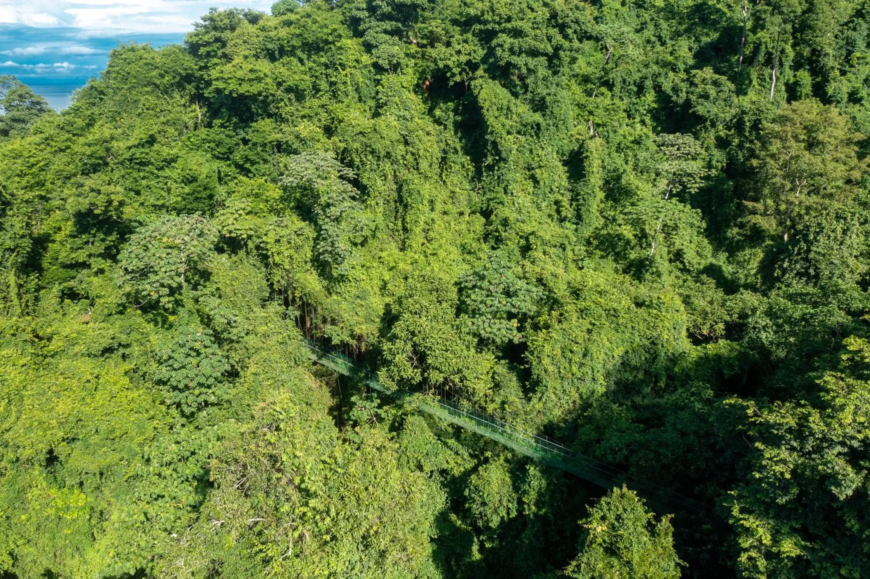 Natural landscape in Villa Lapas Jungle Village