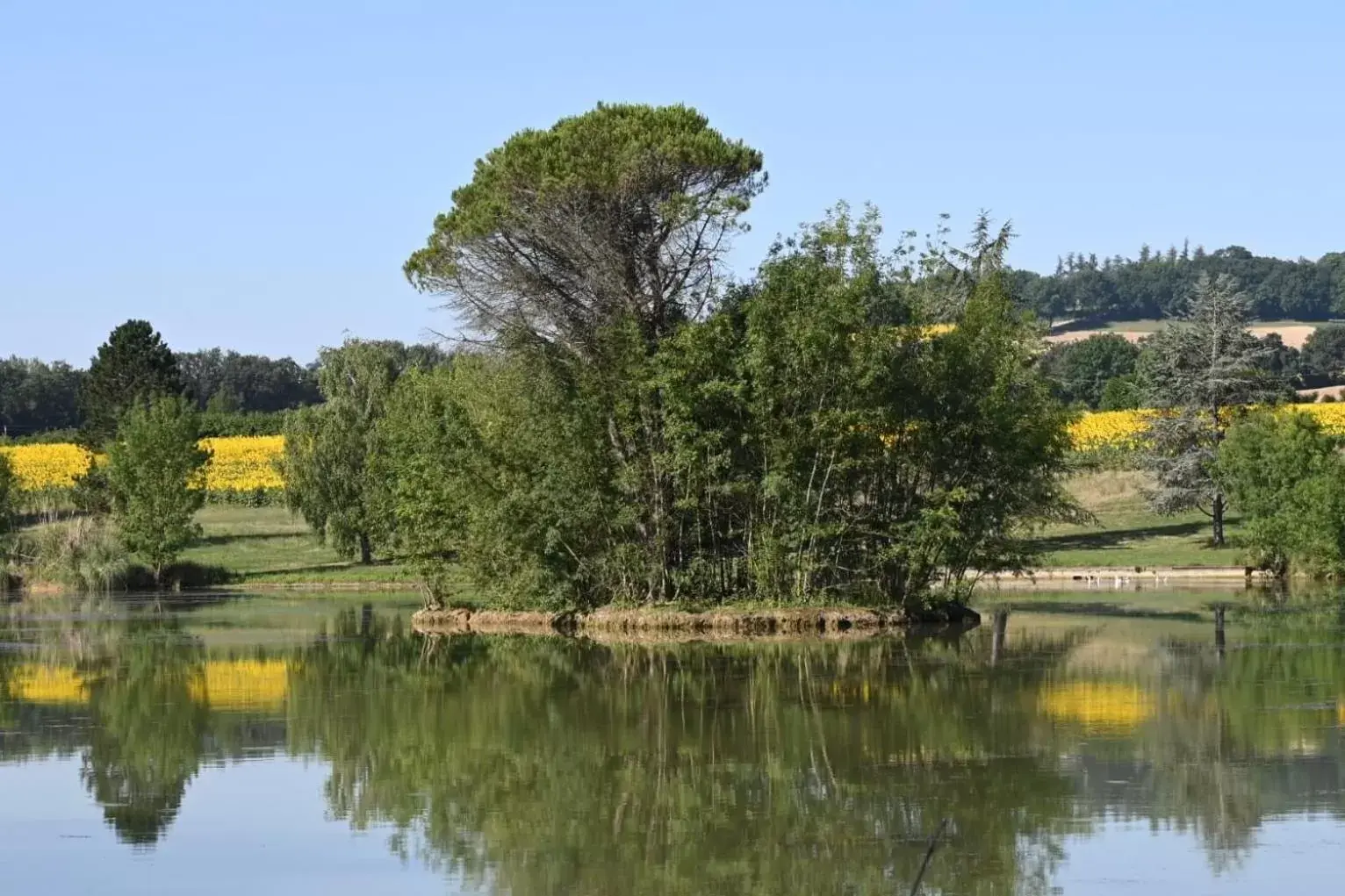 Lake view in Domaine de Boulouch
