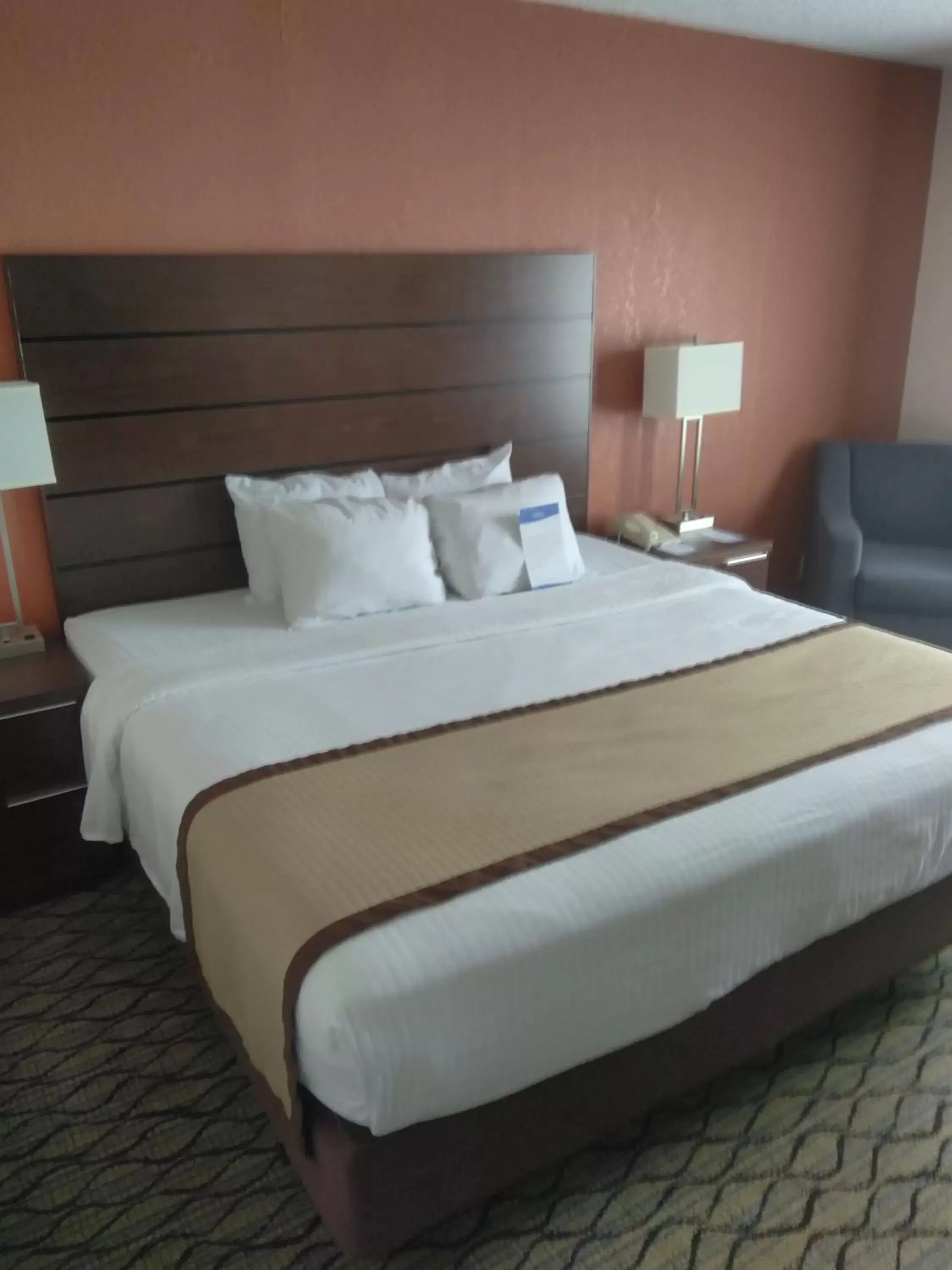 Bed in Baymont by Wyndham Madison Heights Detroit Area