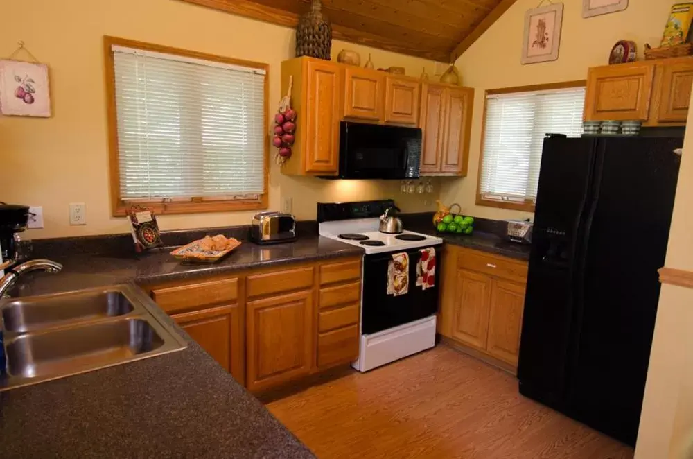 Kitchen or kitchenette, Kitchen/Kitchenette in Asheville Cabins of Willow Winds