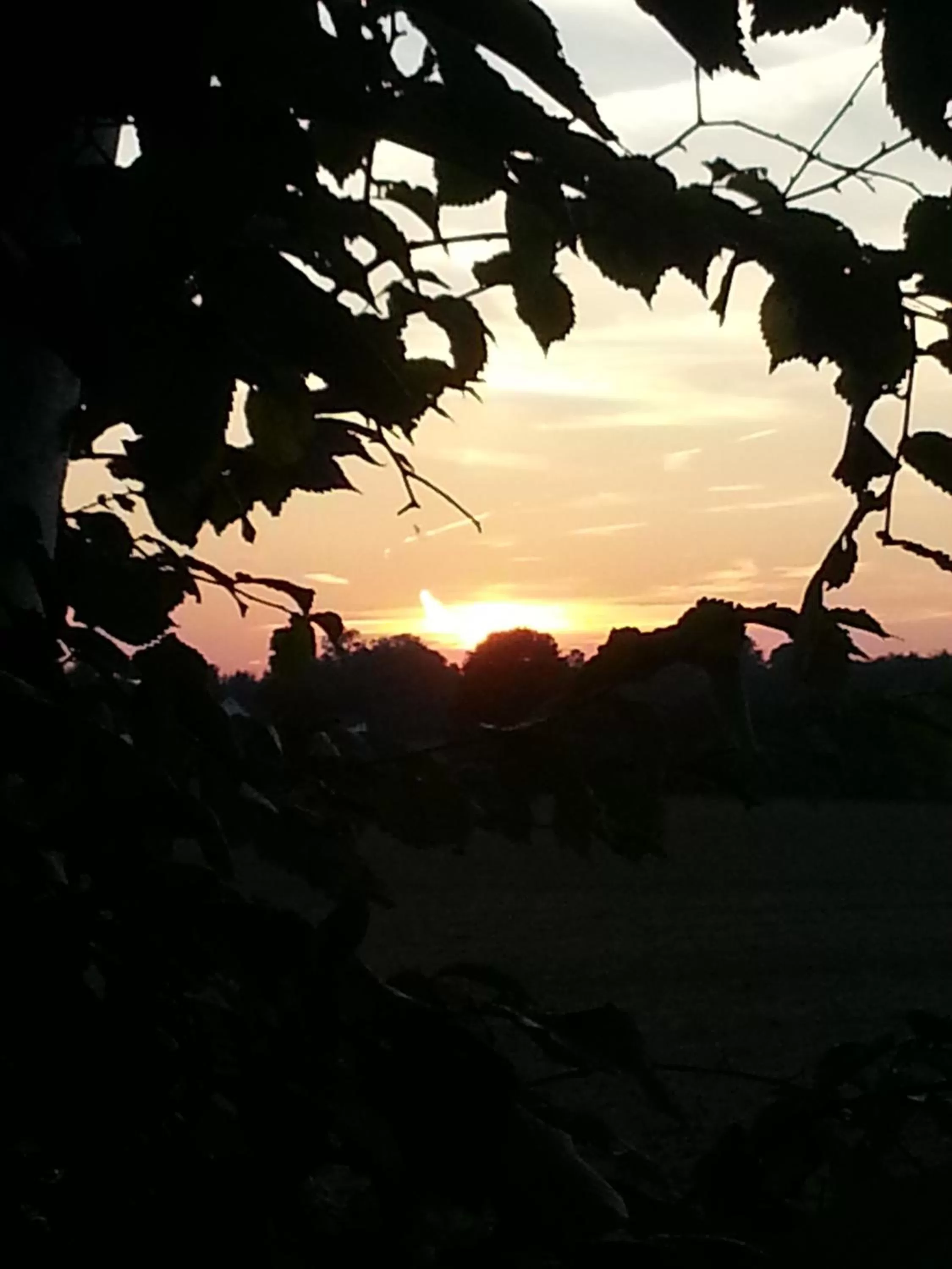 Sunset in Roskilde B&B