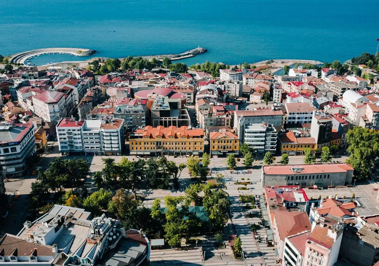 Bird's eye view, Bird's-eye View in TS Park Hotel