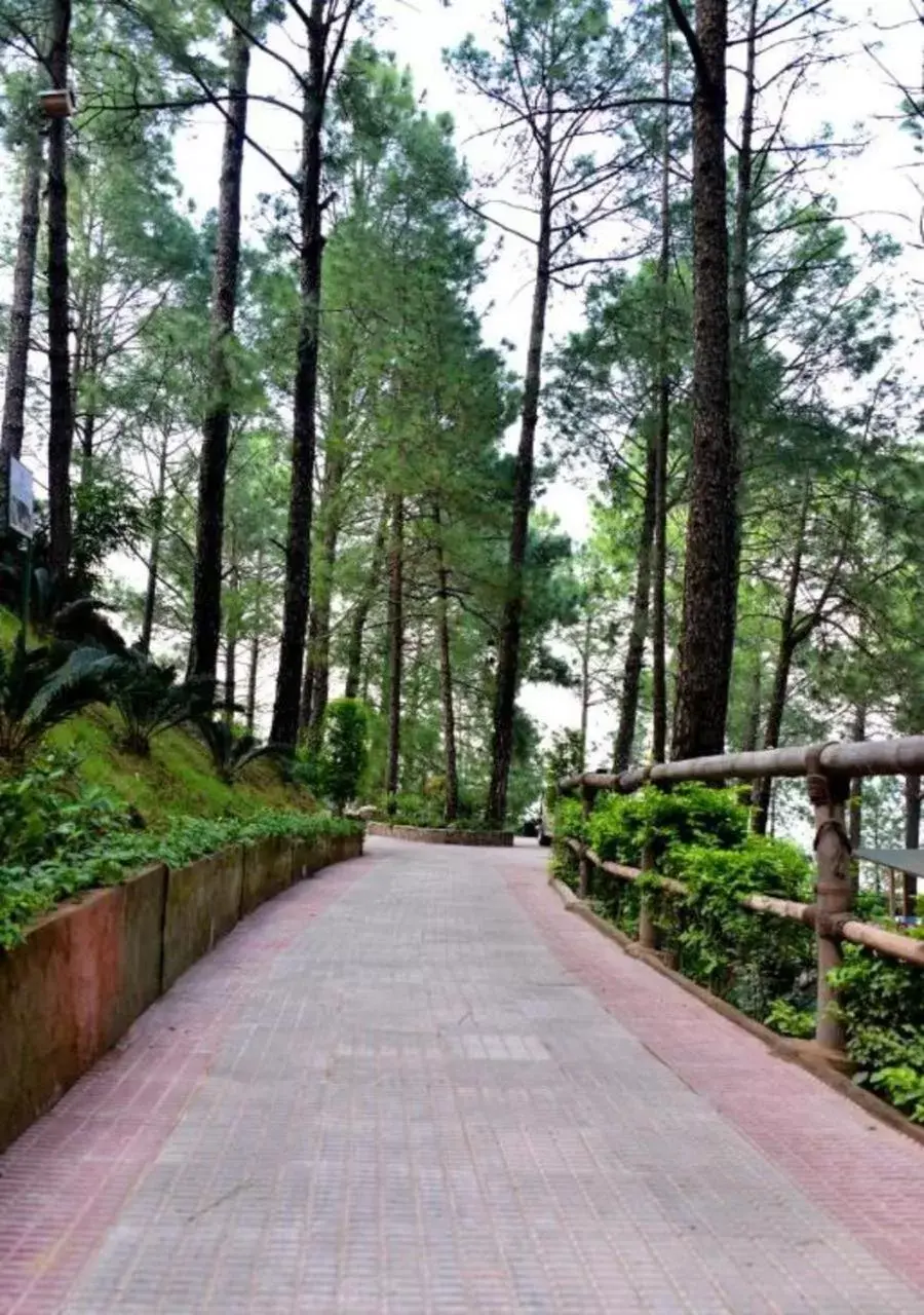 Natural landscape in Kasauli Hills Resort