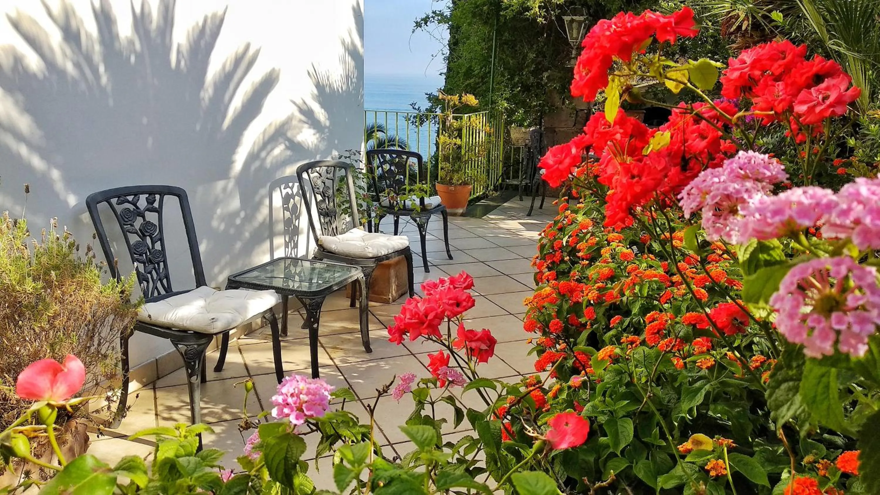 Patio in Hotel Desiree