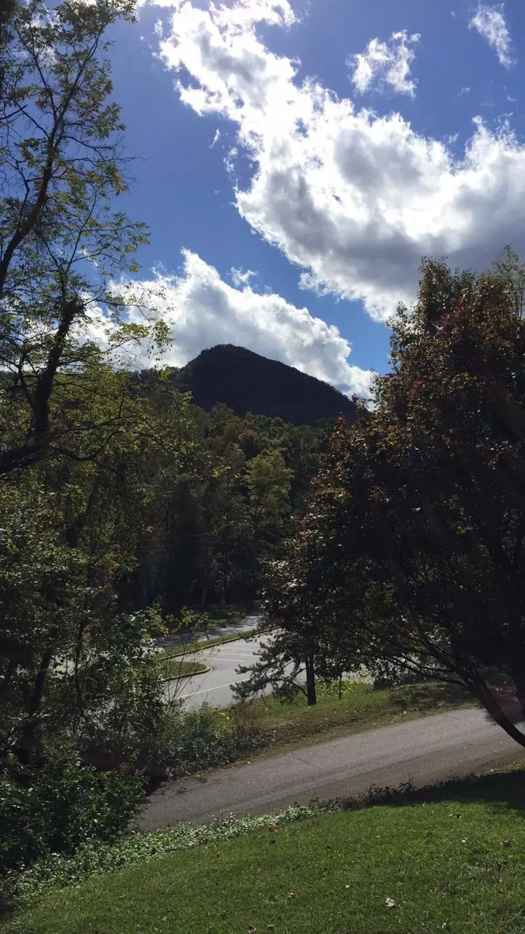 Natural landscape in Grafton Lodge