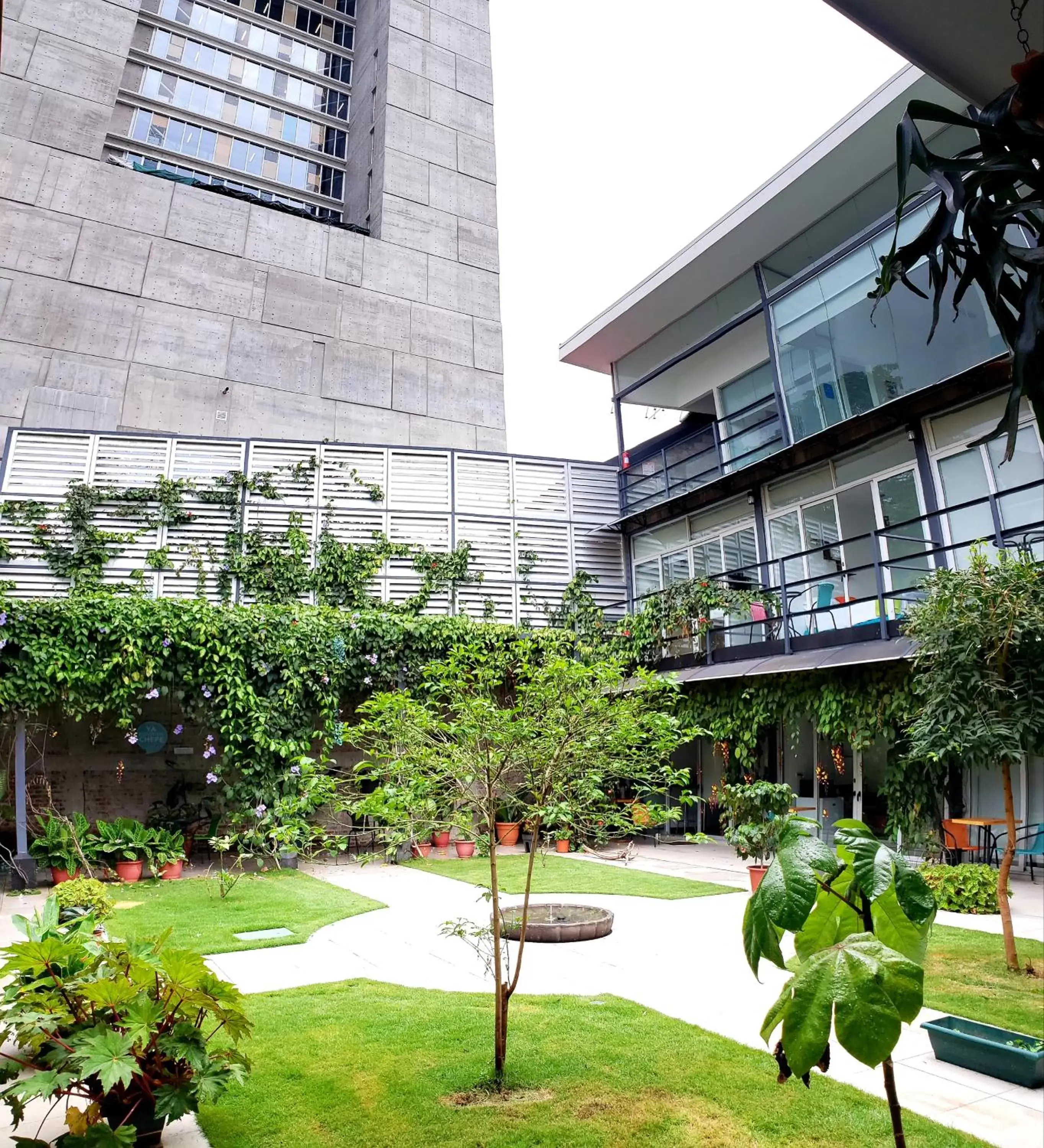 Garden, Property Building in Cando Living Apartments in Central Avenue