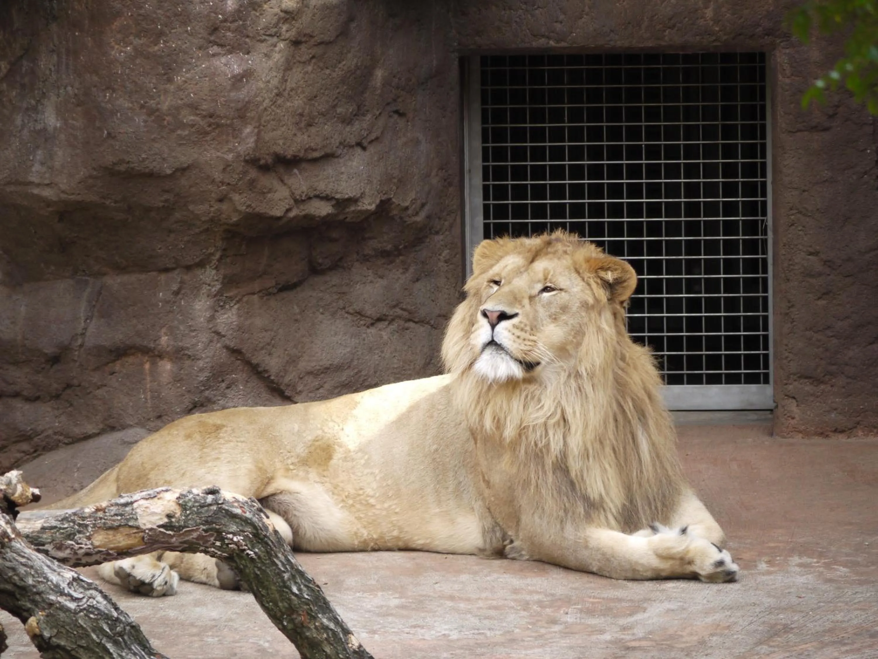 Nearby landmark in KOKO HOTEL Higashiosaka - formerly Hotel Wing International Select Higashi Osaka