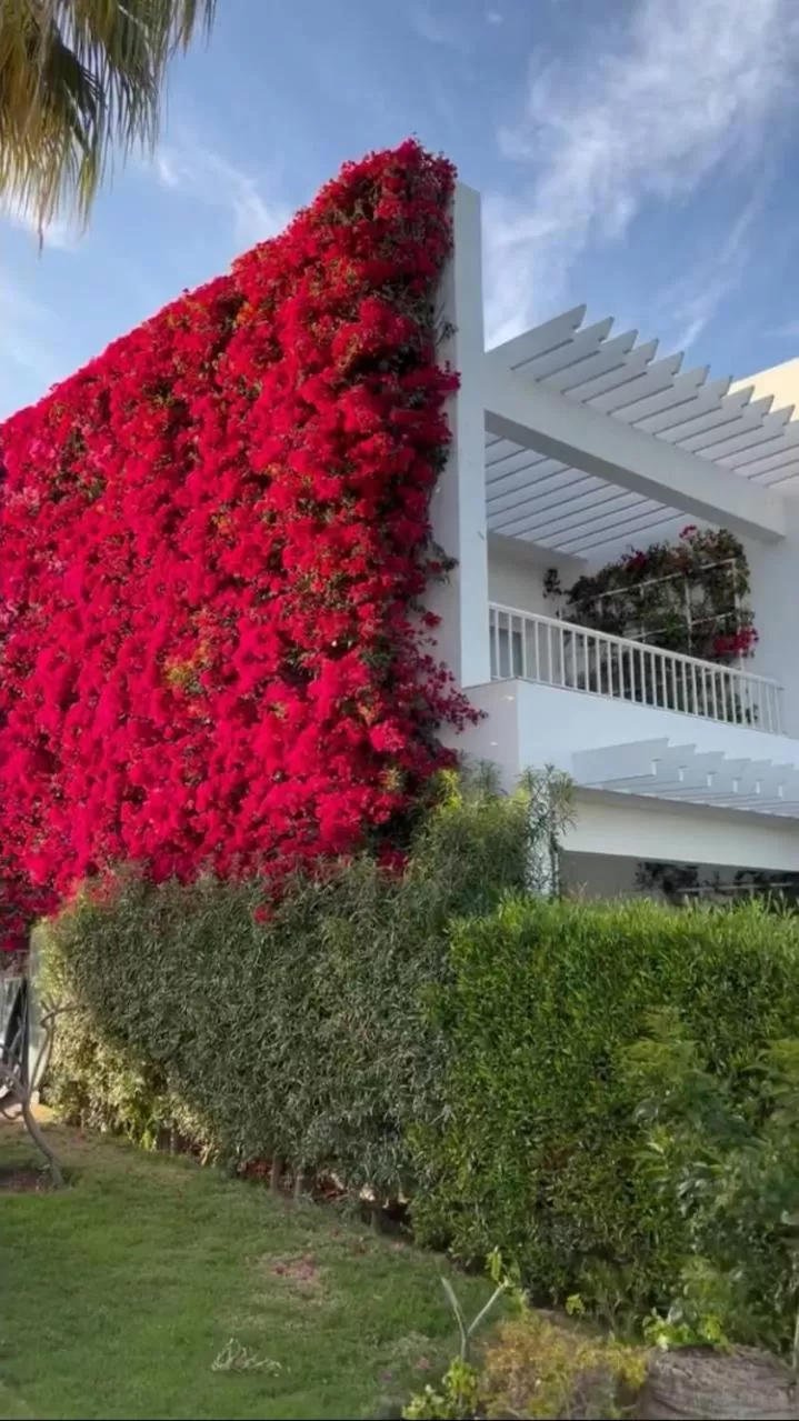 Property building in Monte Carlo Sharm Resort & Spa