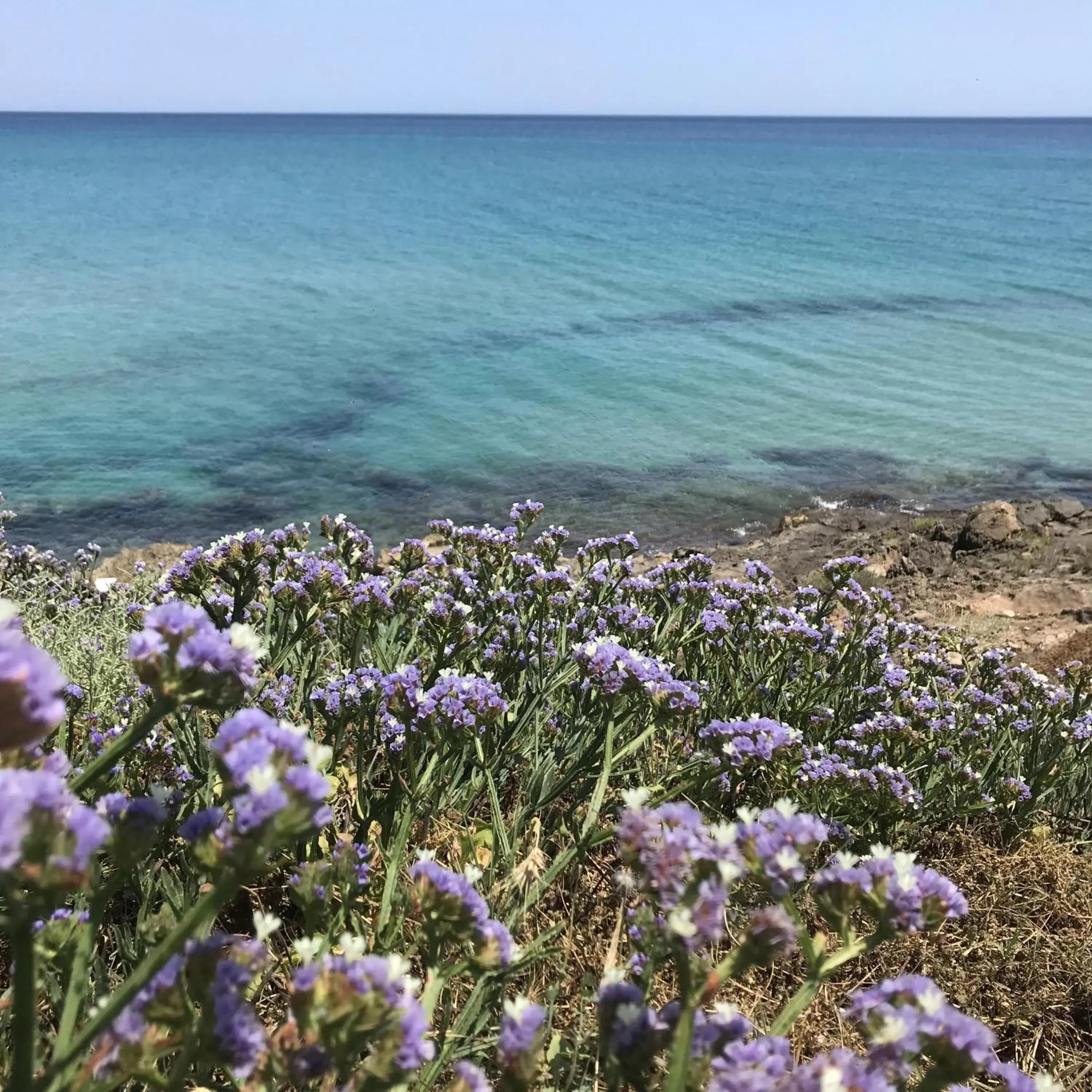 Property building, Bird's-eye View in CasapiuHolidaySicilia-Adults Only