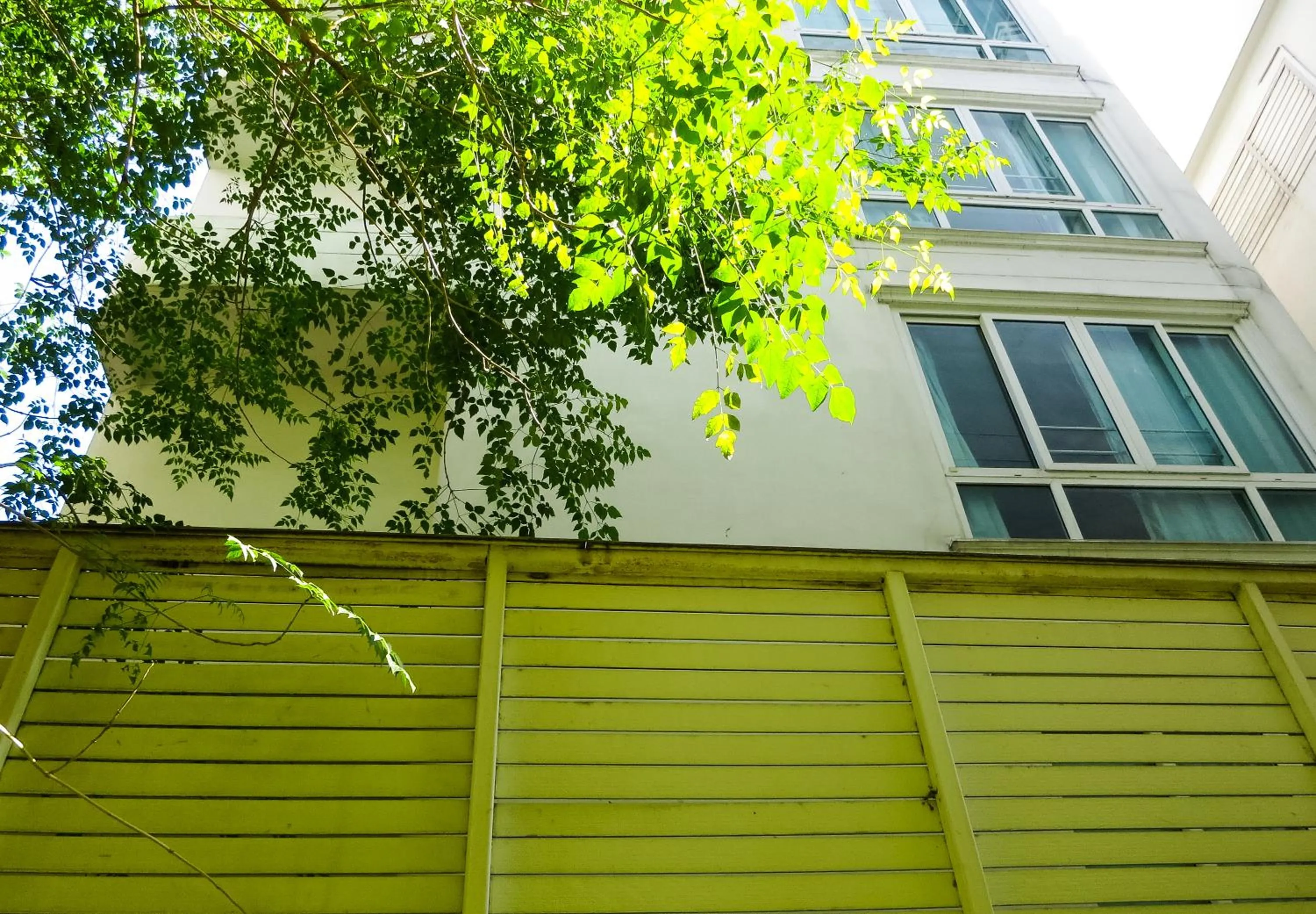 Other in Baansilom Soi 3