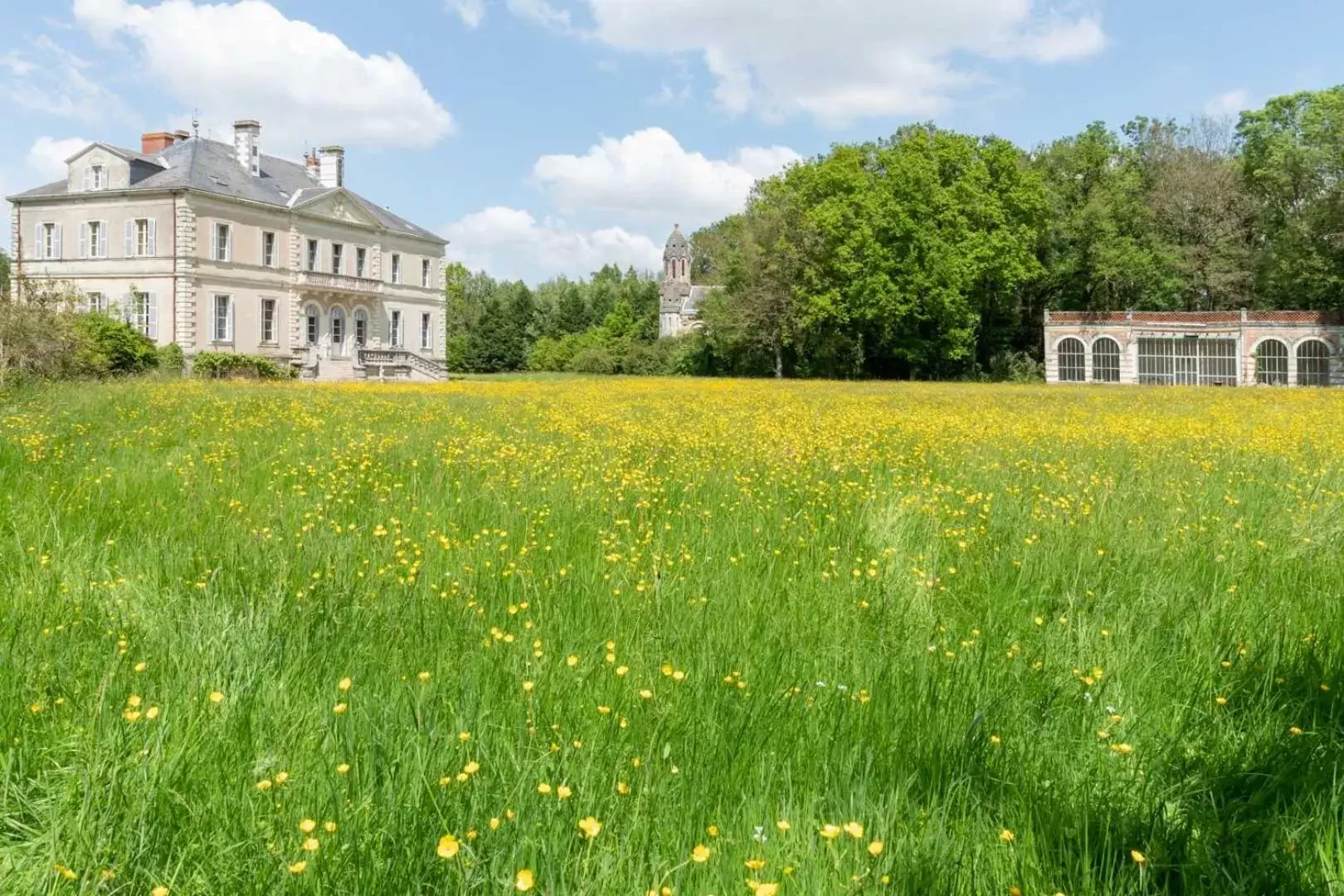 Property Building in Chateau du Hallay