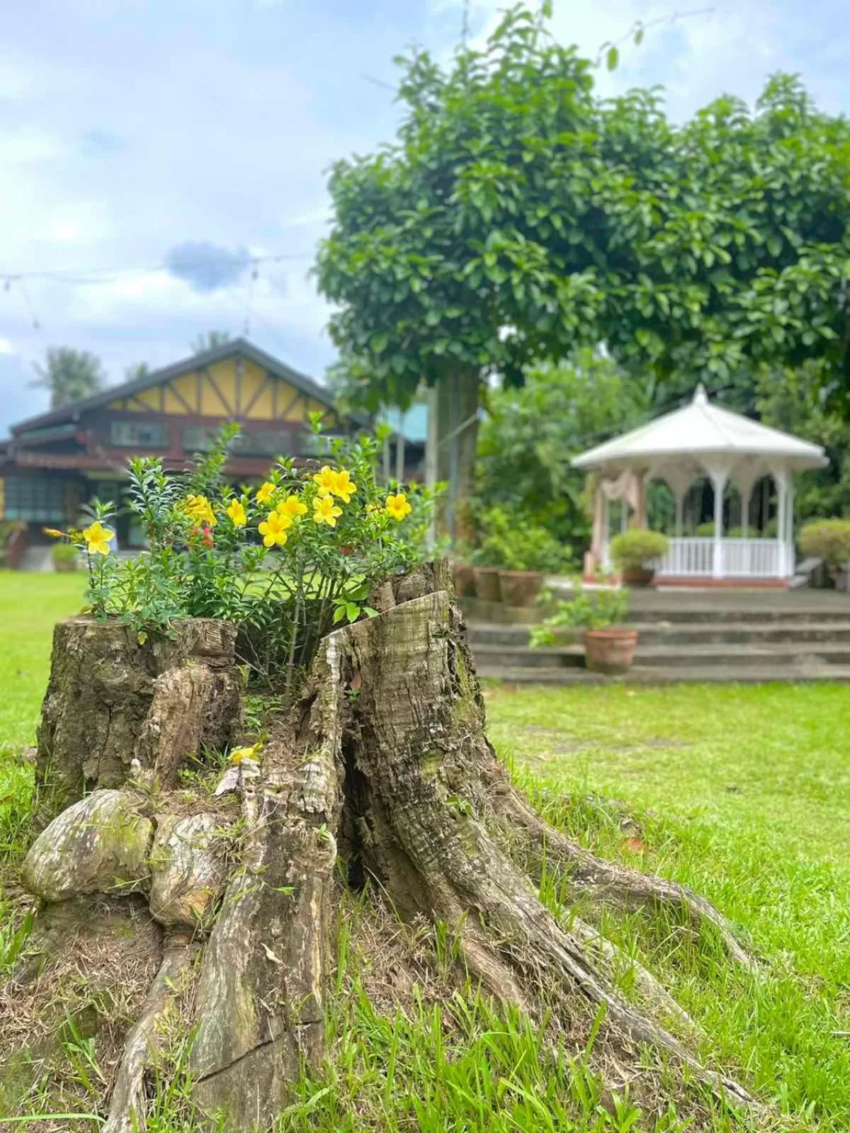 Casa San Pablo B & B