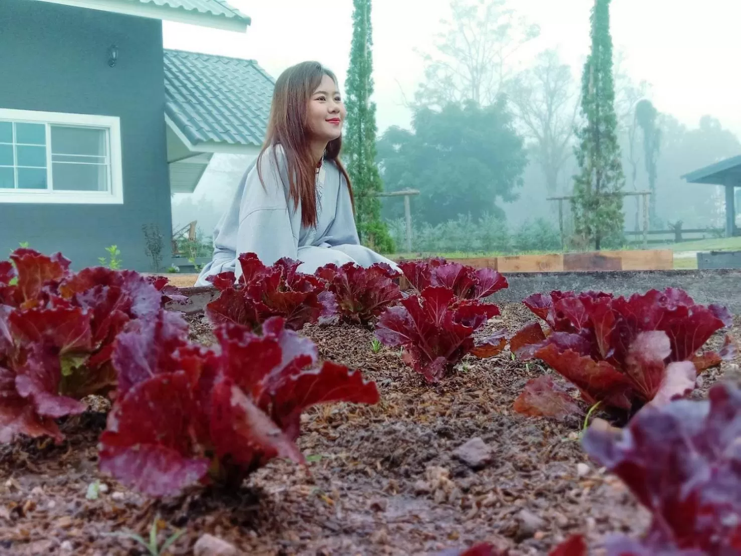 Other in PAI LAMUN VALLEY