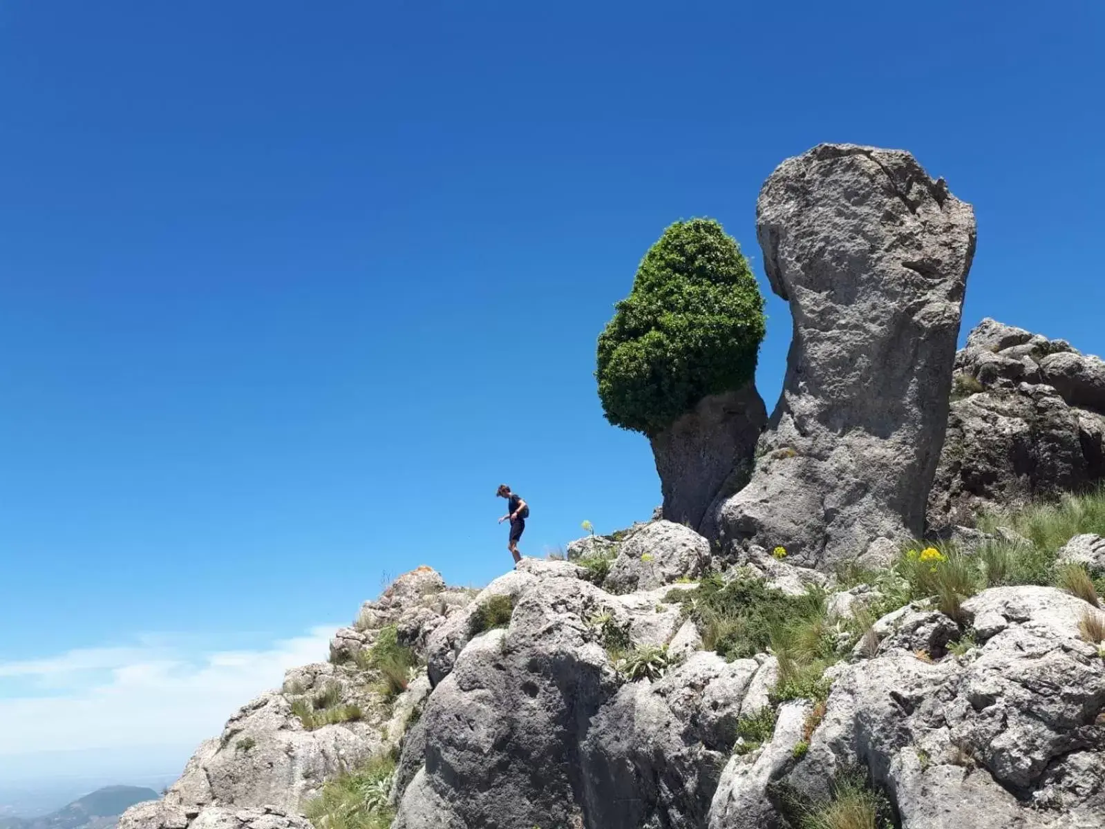 Natural landscape in La Posada Amena