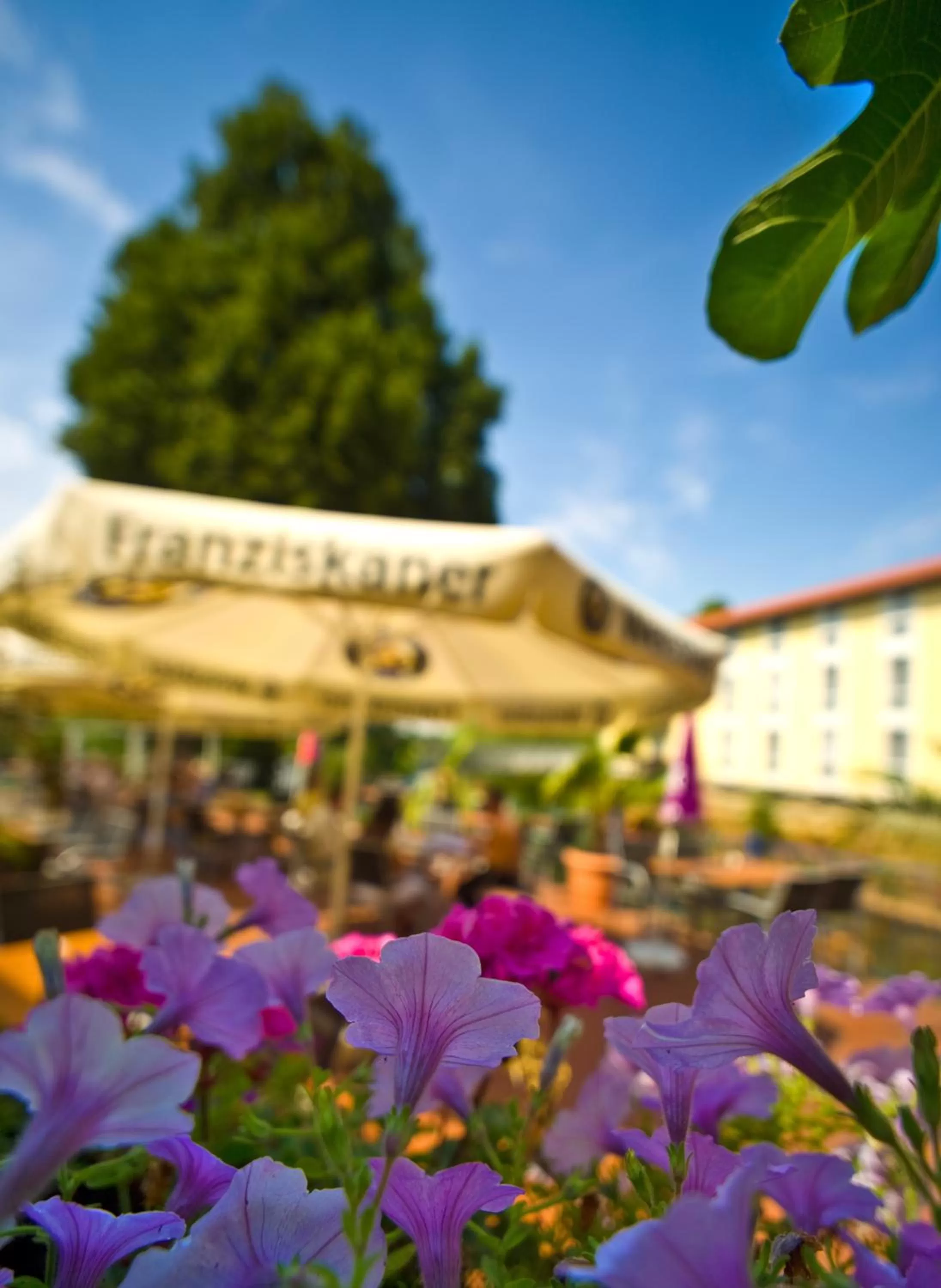 Balcony/Terrace in Hotel Weserschlösschen