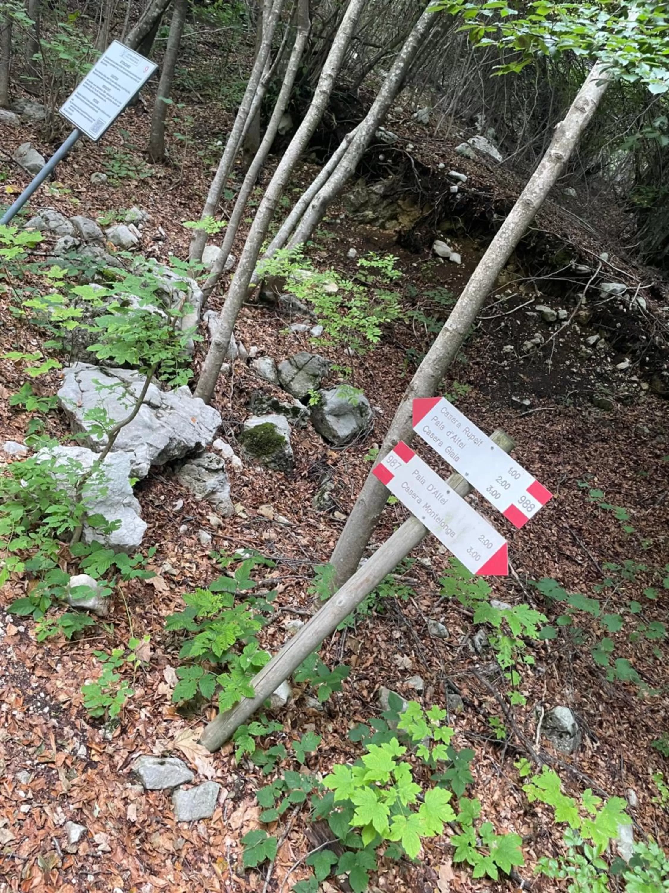 Casa Valcellina Hotel Ristorante