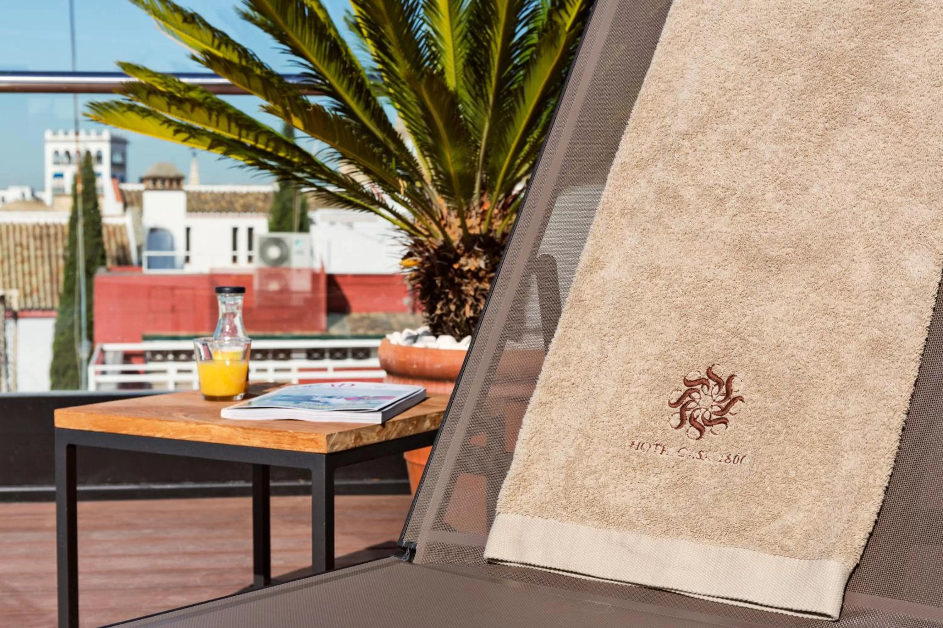 Solarium in Hotel Casa 1800 Sevilla