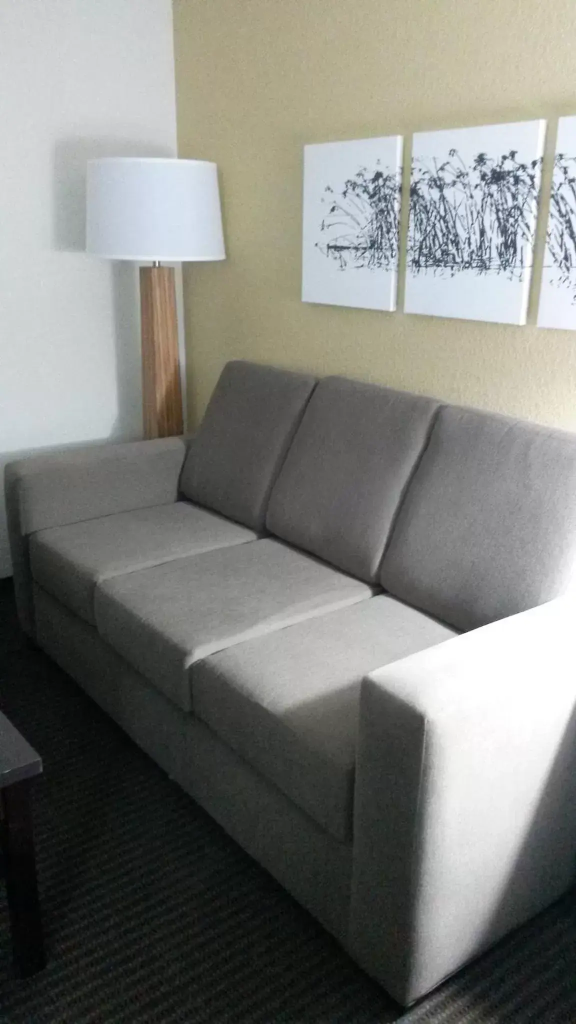 Seating Area in Sleep Inn & Suites West-Near Medical Center