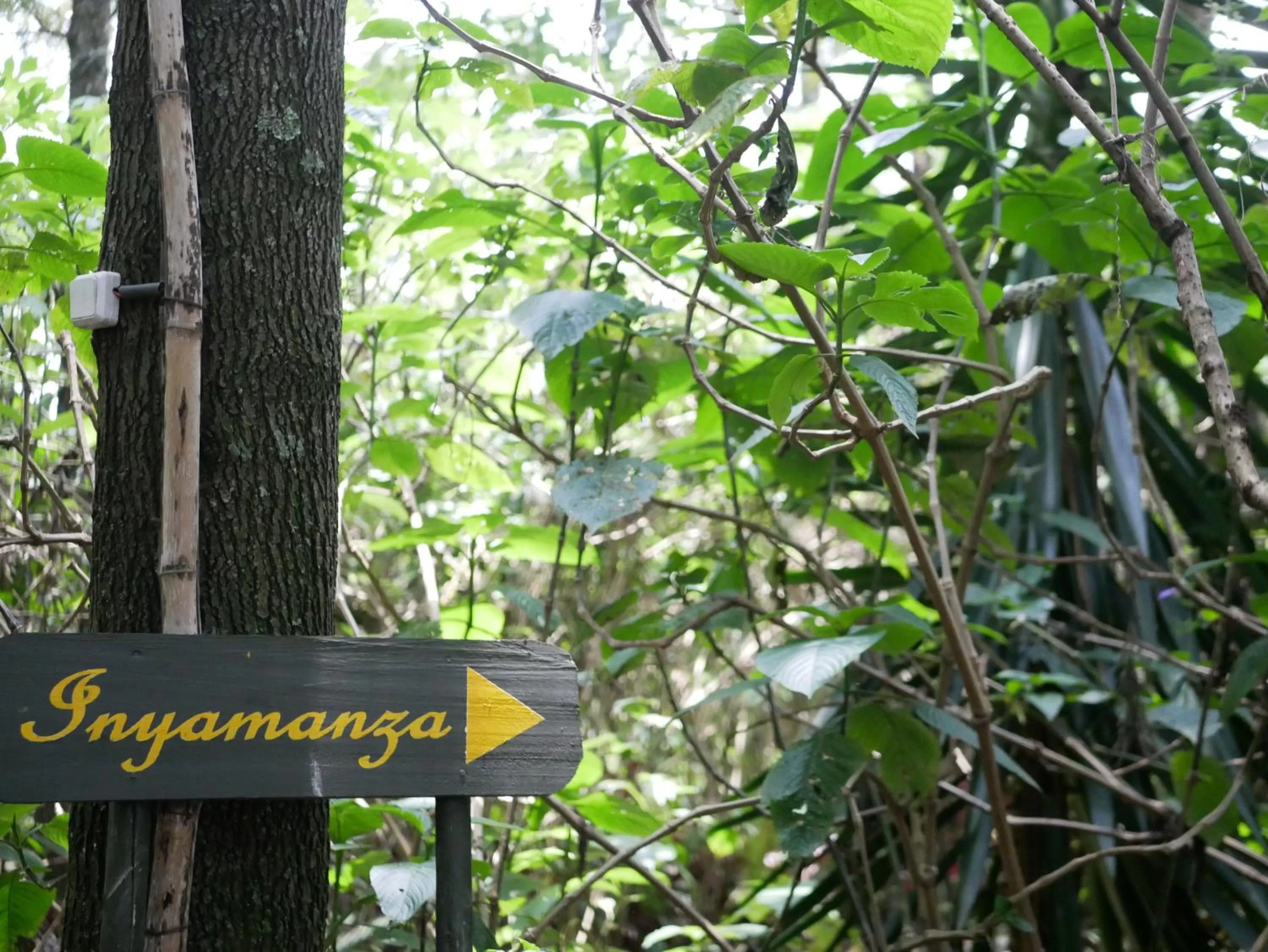 Property logo or sign in Fravan Eco Resort By Apogee