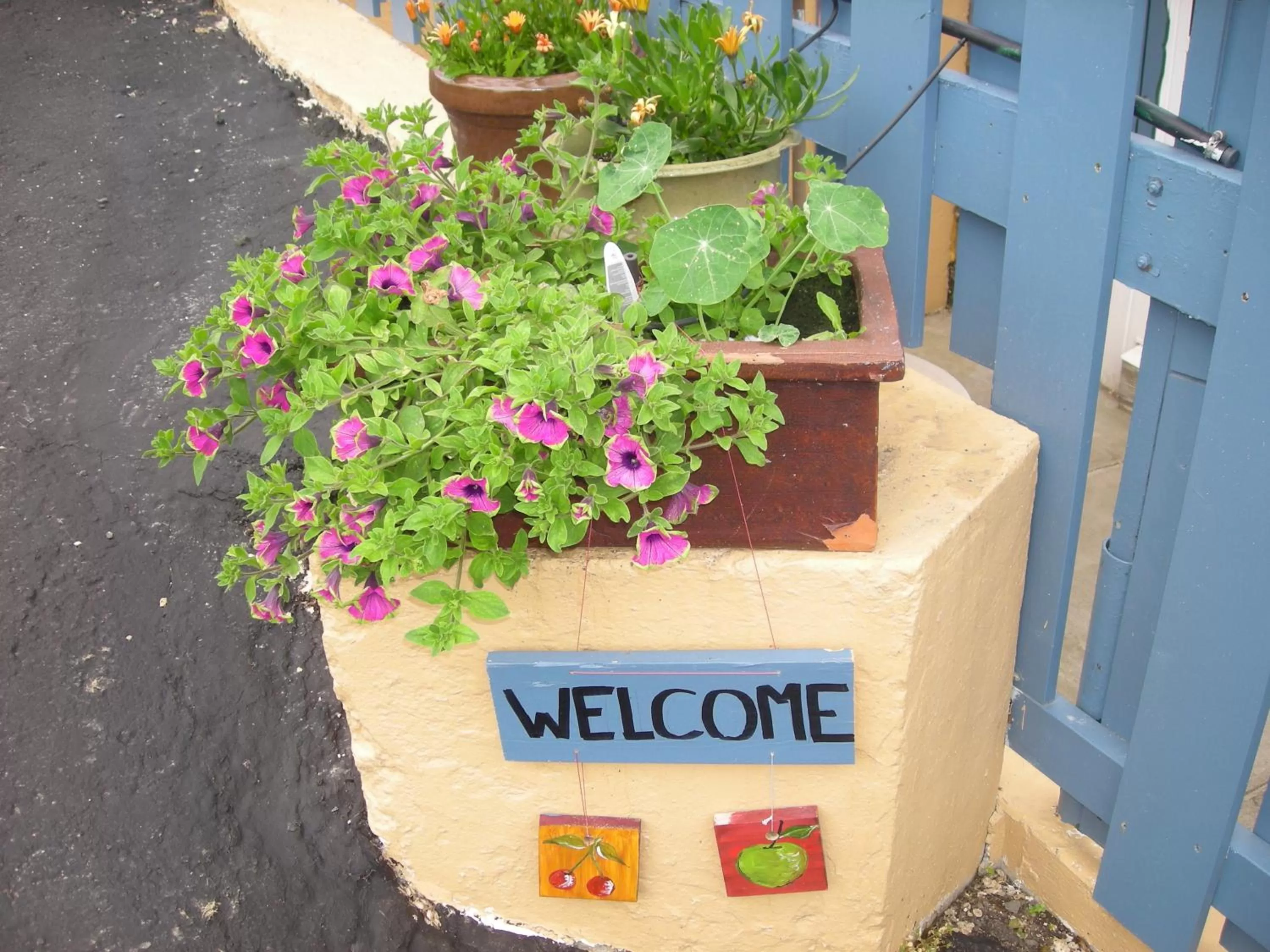 Creston Valley Motel