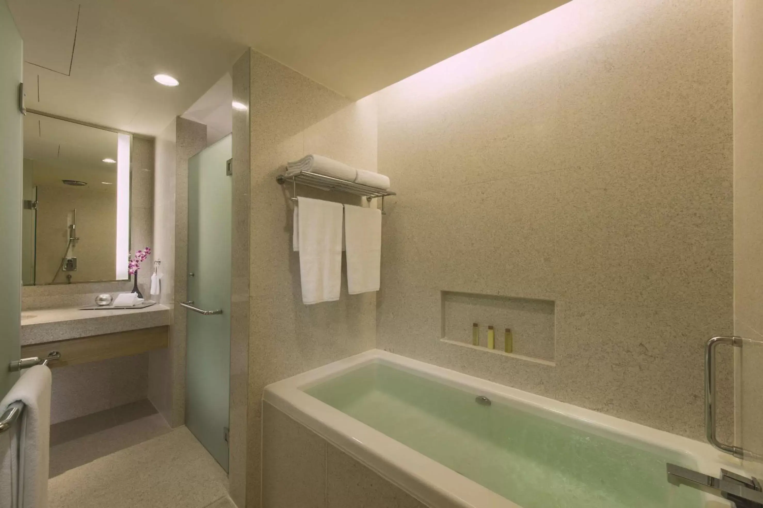 Bathroom, Swimming Pool in DoubleTree By Hilton Kuala Lumpur