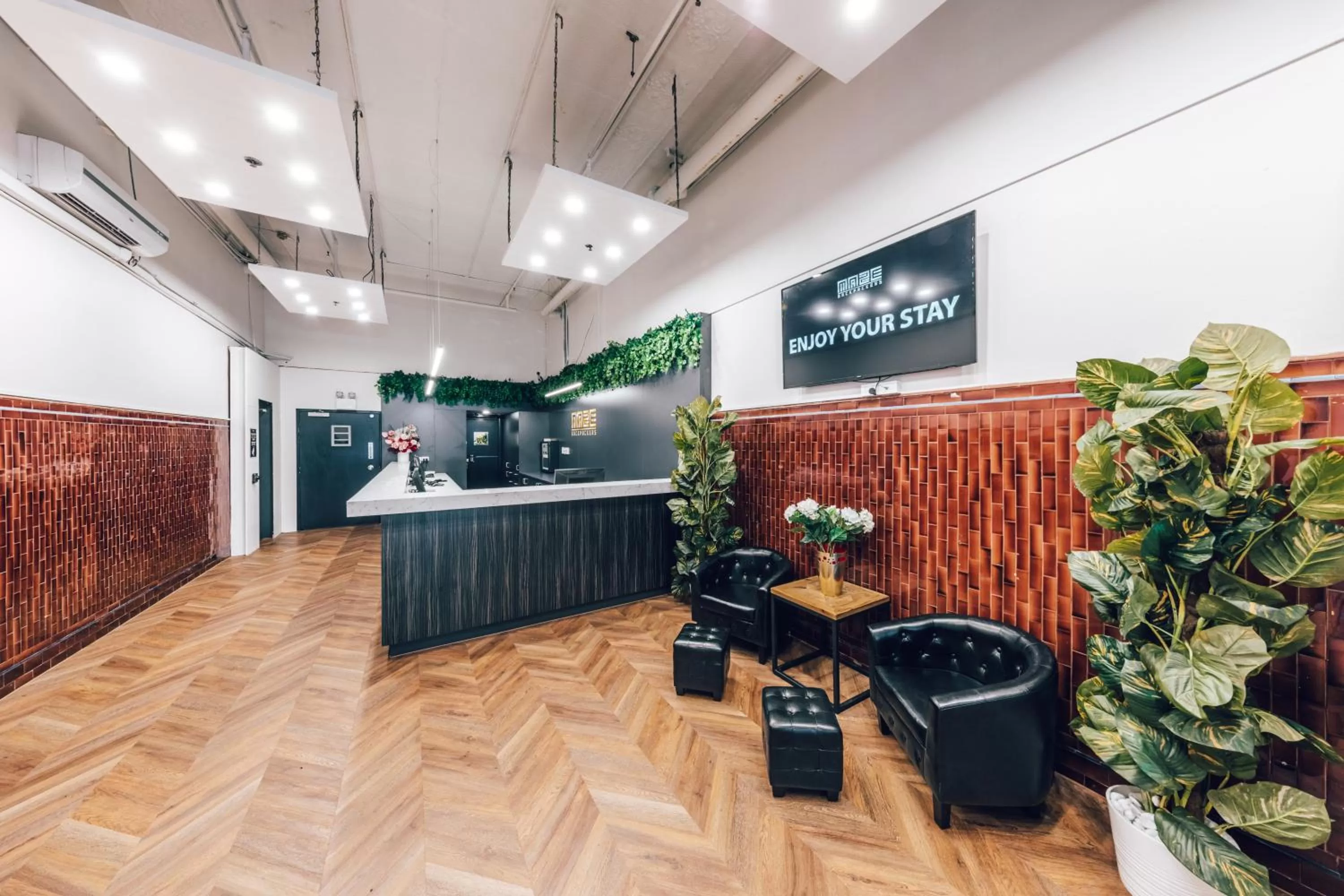 Lobby or reception in Maze Backpackers - Sydney