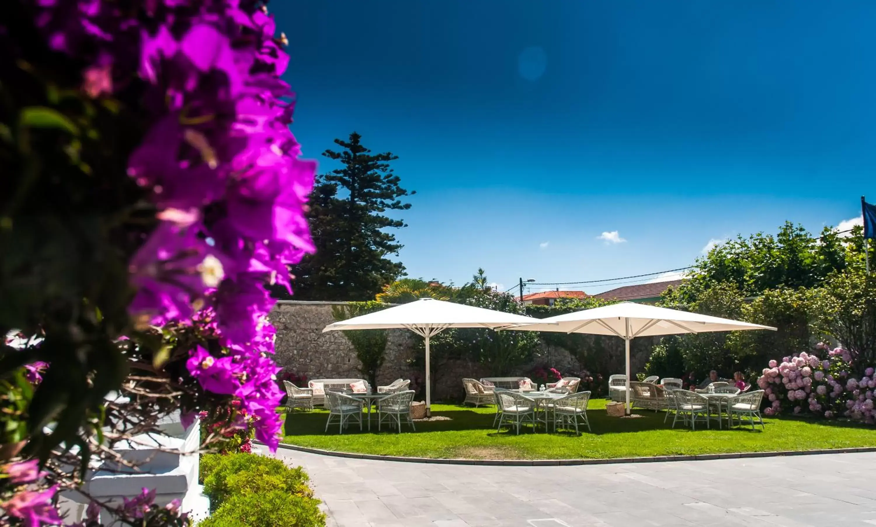 Garden in Hotel Villa Rosario