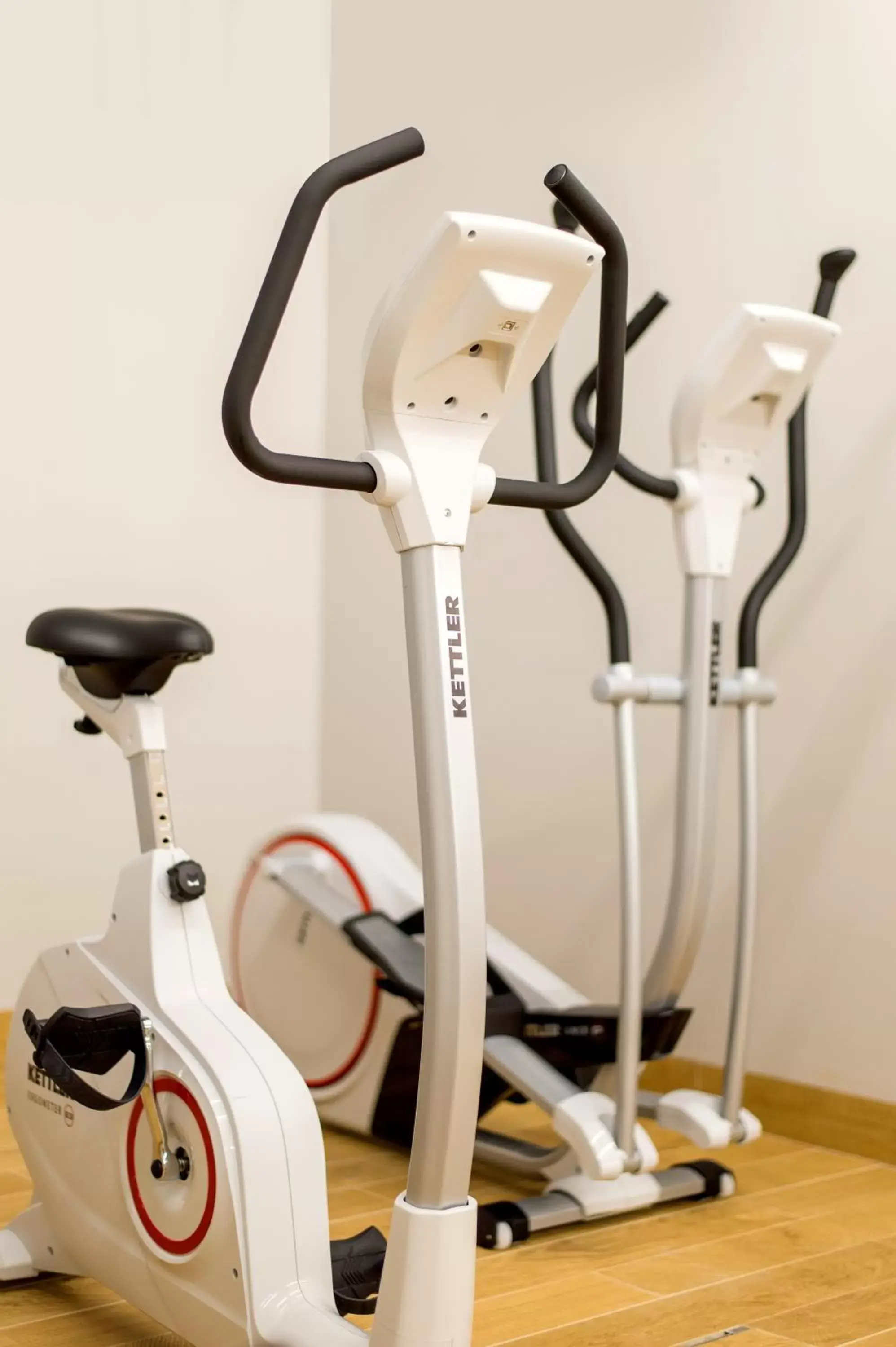 Fitness centre/facilities, Fitness Center/Facilities in Hotel Vivaldi