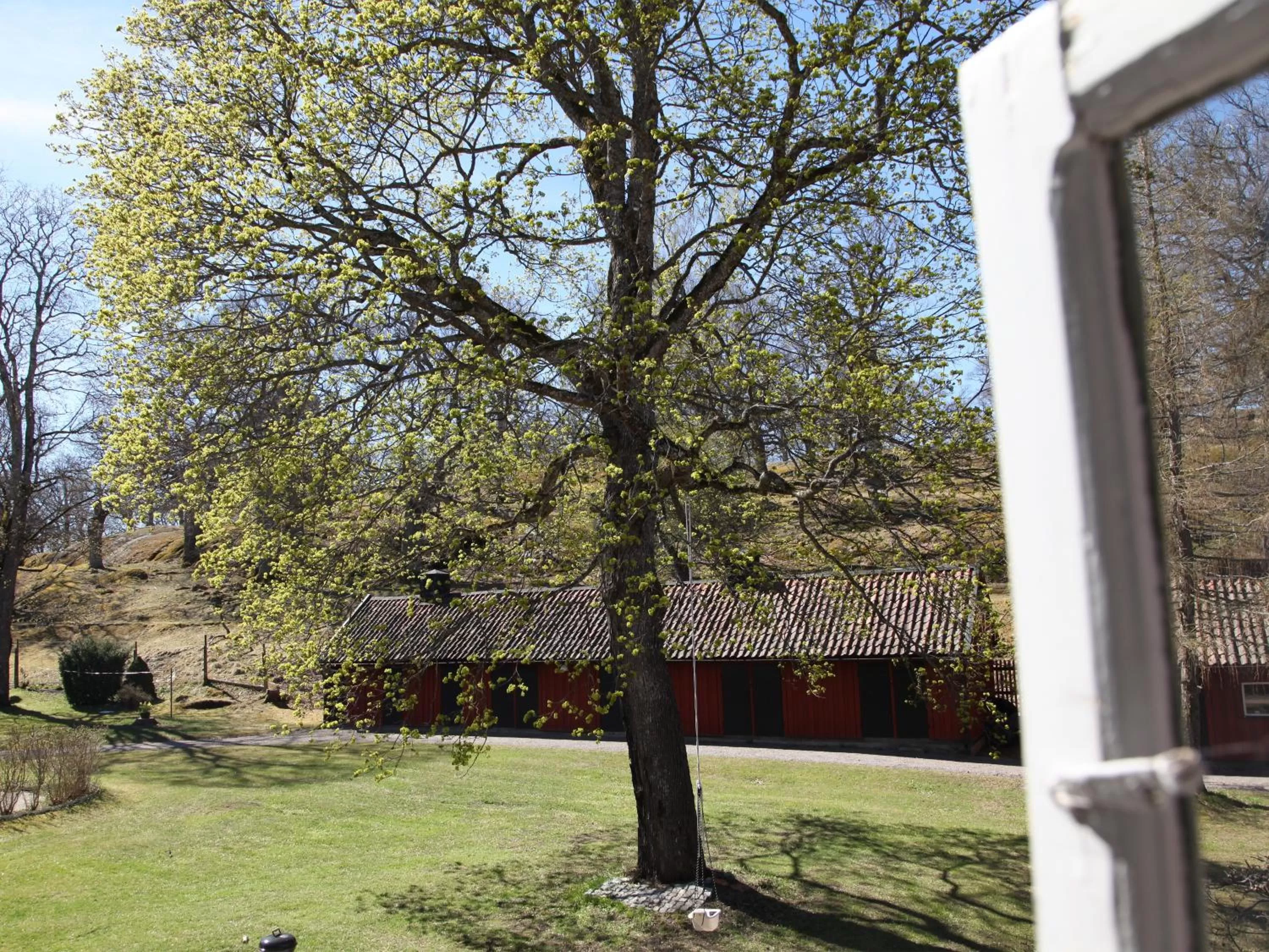 View (from property/room) in Gripsholms BnB