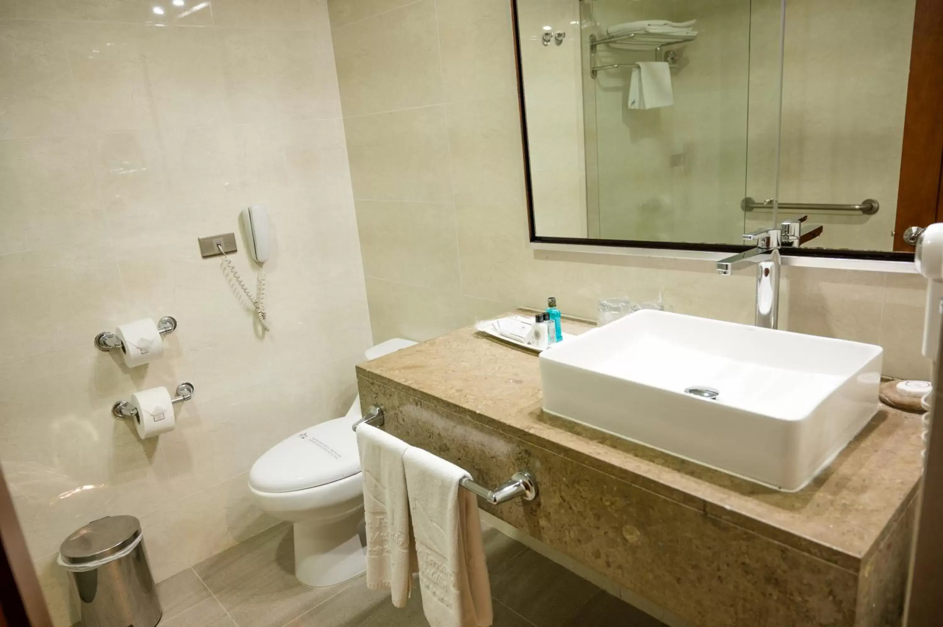 Bathroom in Hotel San Fernando Plaza