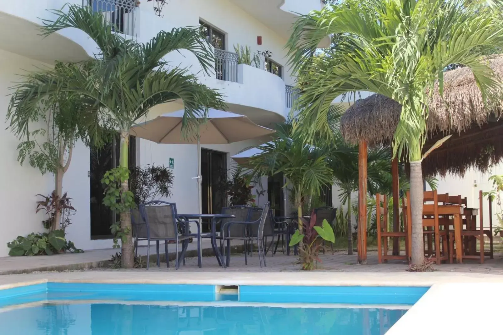 Patio, Swimming Pool in hotel stella maris tulum