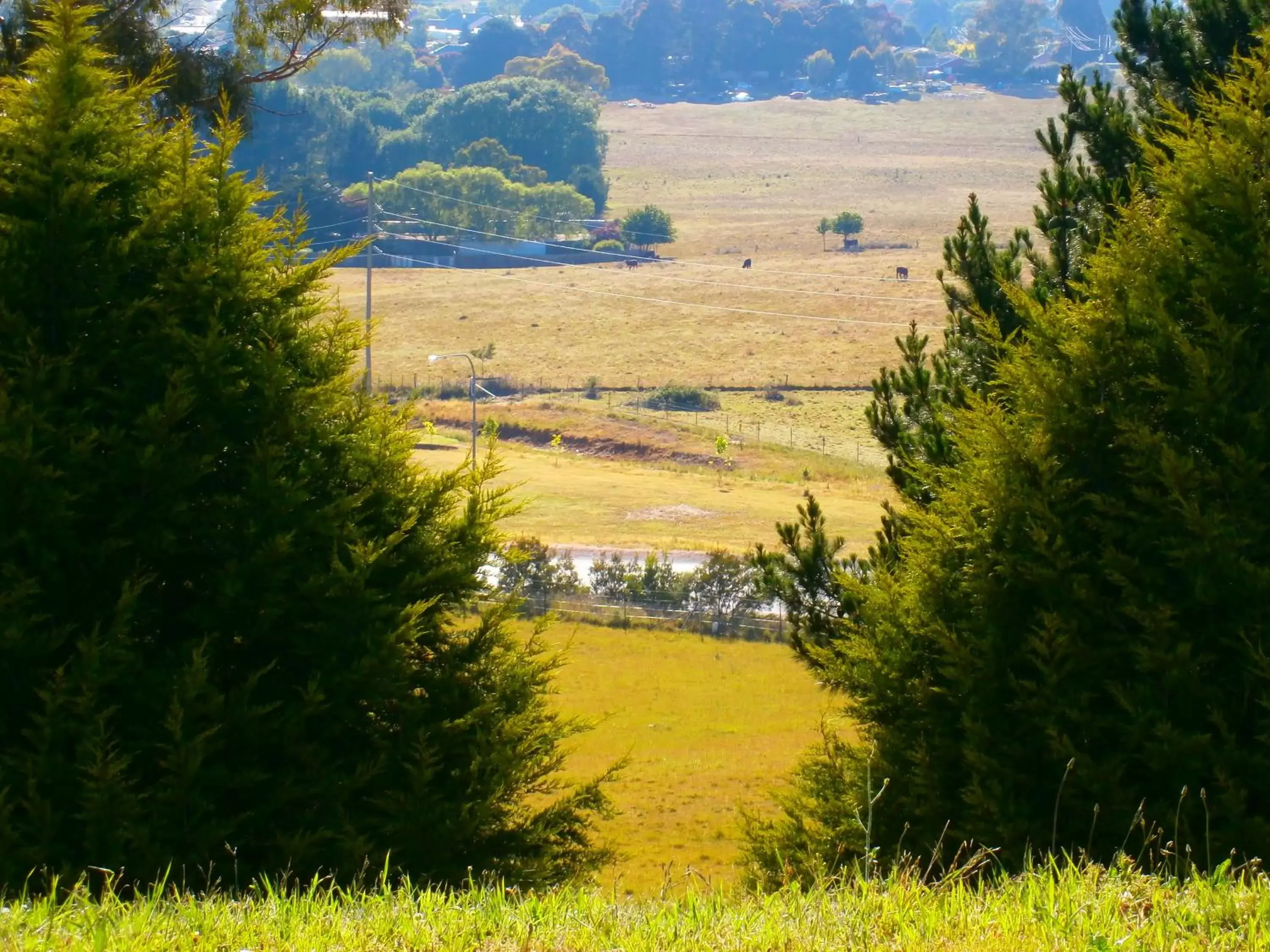 Natural landscape in Highlands Motor Inn