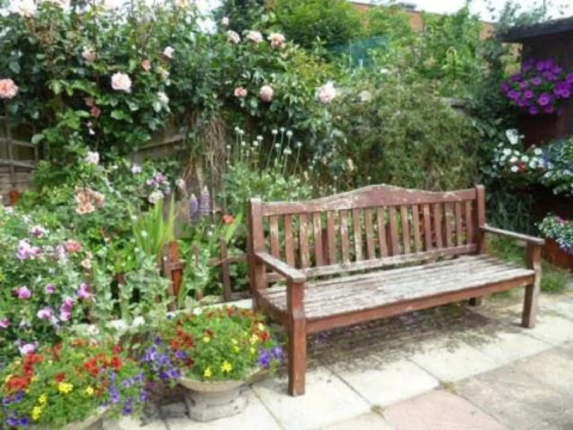 Garden in OYO Belvedere Guest House, Great Yarmouth