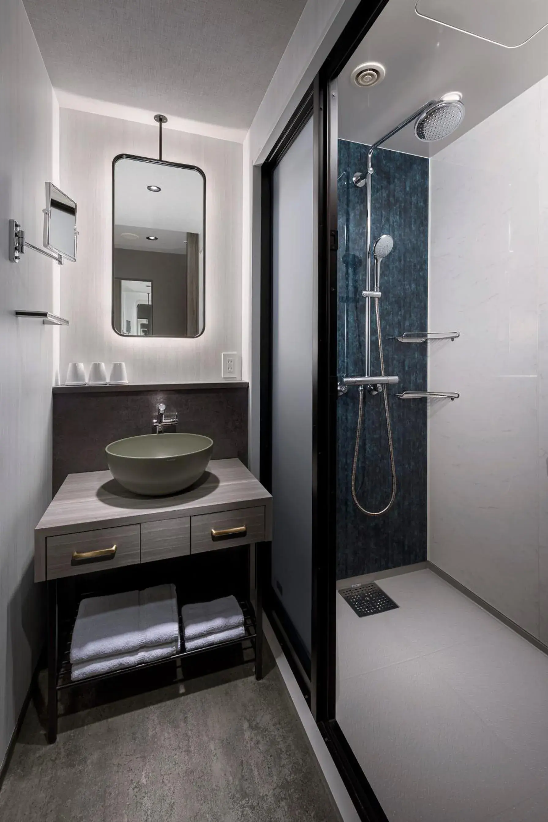 Shower, Bathroom in Hotel Villa Fontaine Grand Tokyo-Roppongi