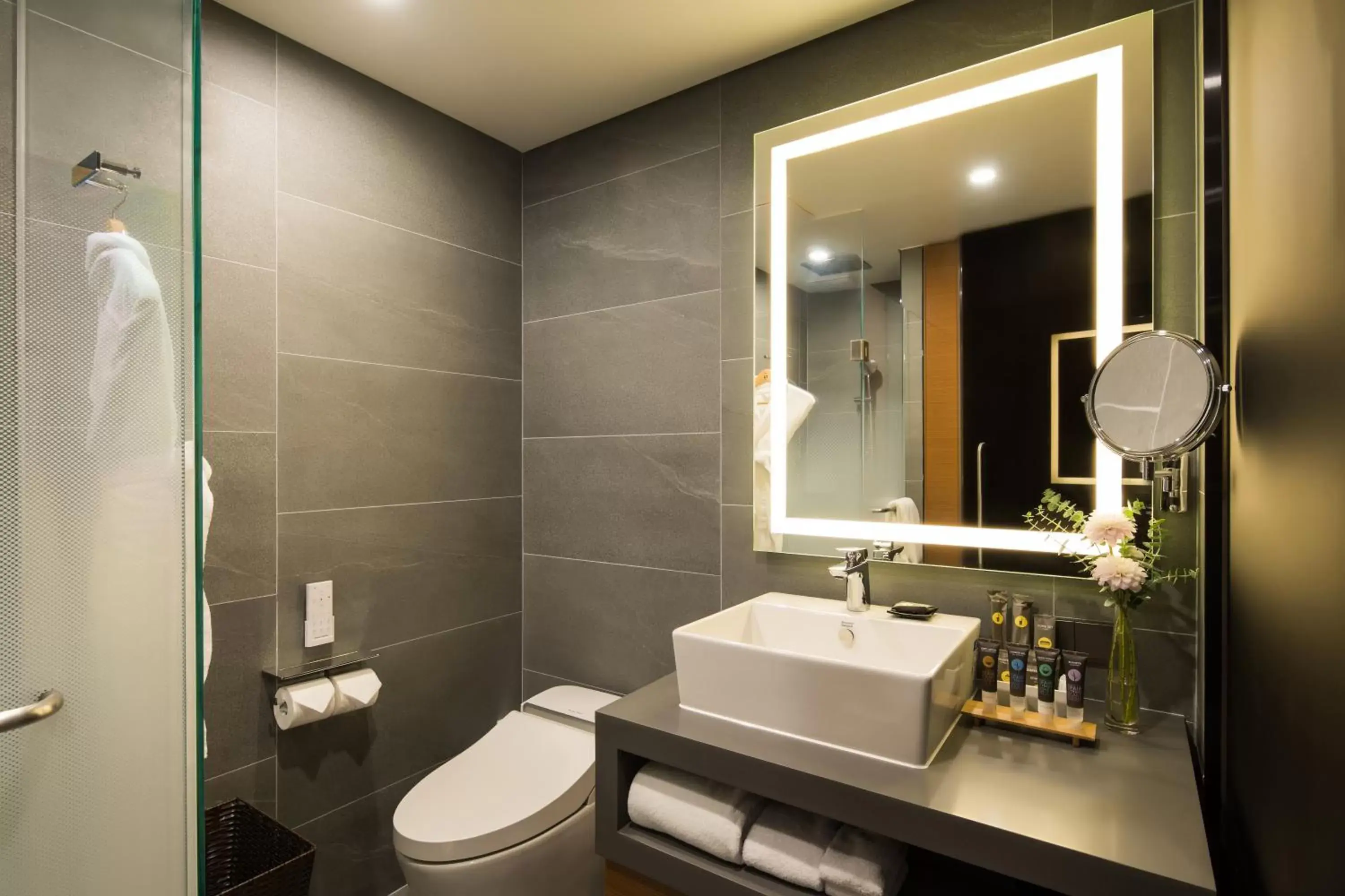 Shower, Bathroom in Novotel Ambassador Seoul Dongdaemun Hotels & Residences