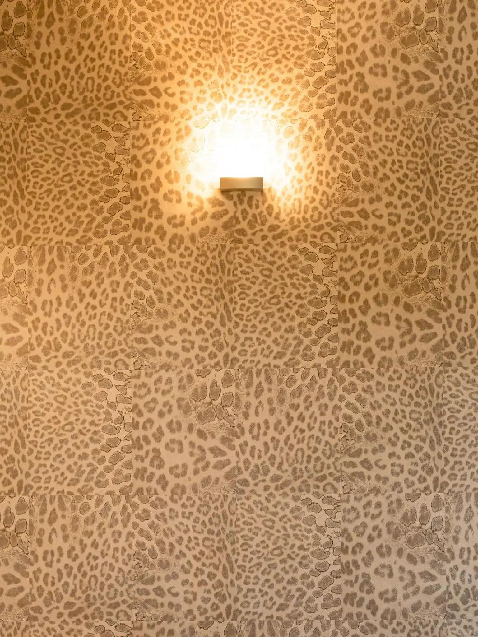 Decorative detail, Bathroom in Hotel Grand Cap