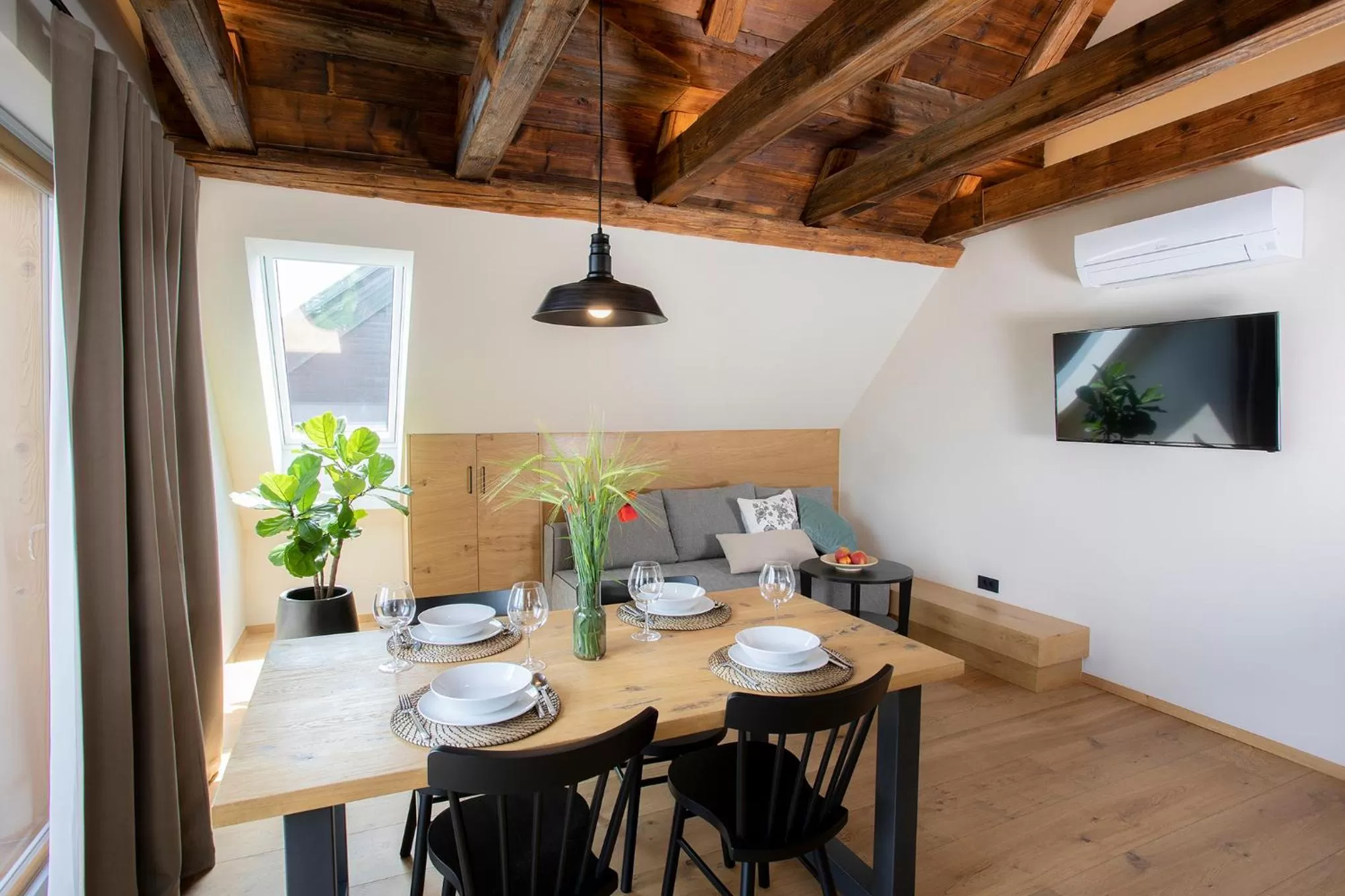 TV and multimedia in House Troha - Rooms & Apartments