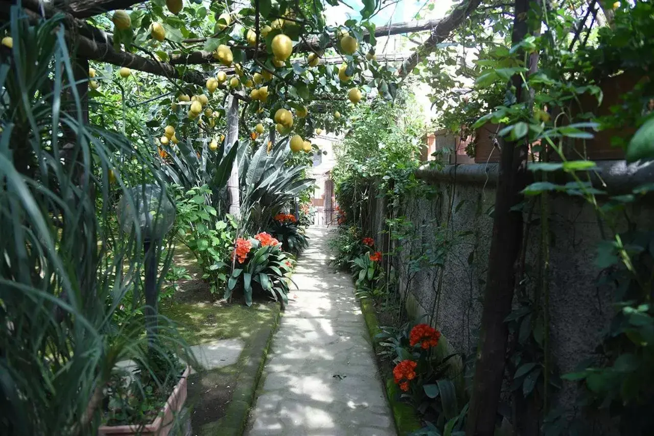 Garden in Anthea Sorrento