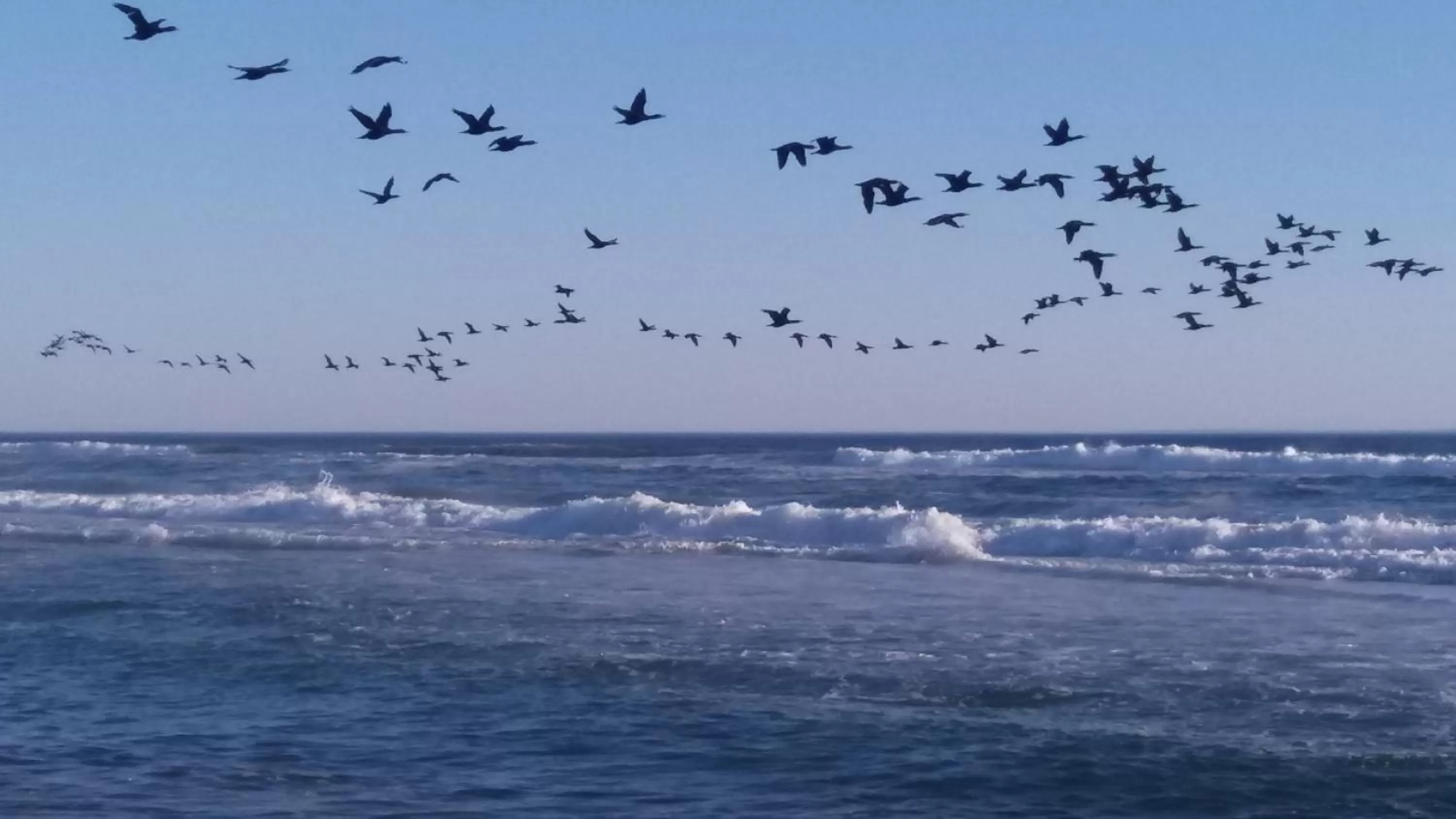 Beach in Haus Schaaf b&b