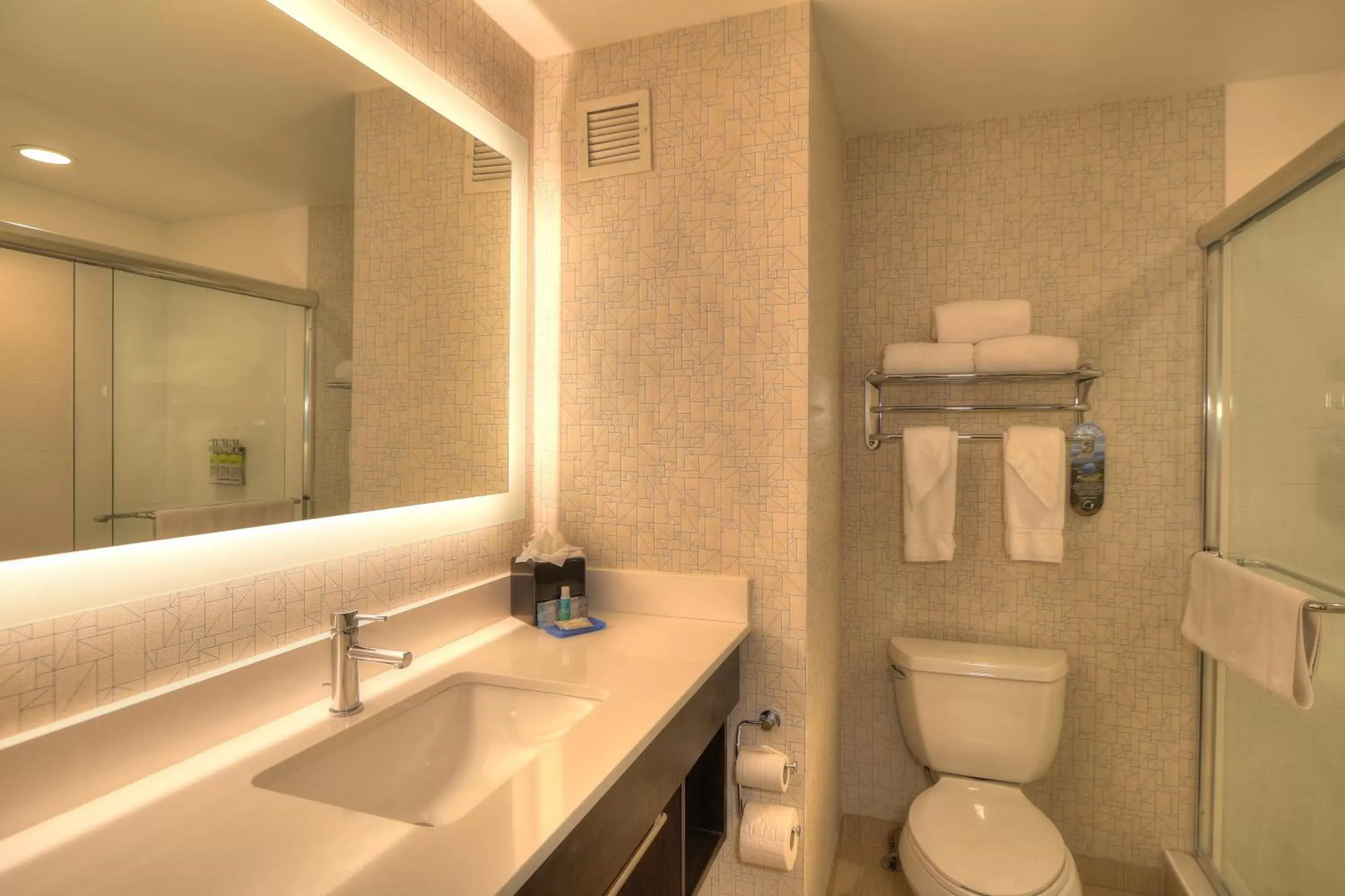 Bathroom in Holiday Inn Express Hotel & Suites Mobile Saraland, an IHG Hotel