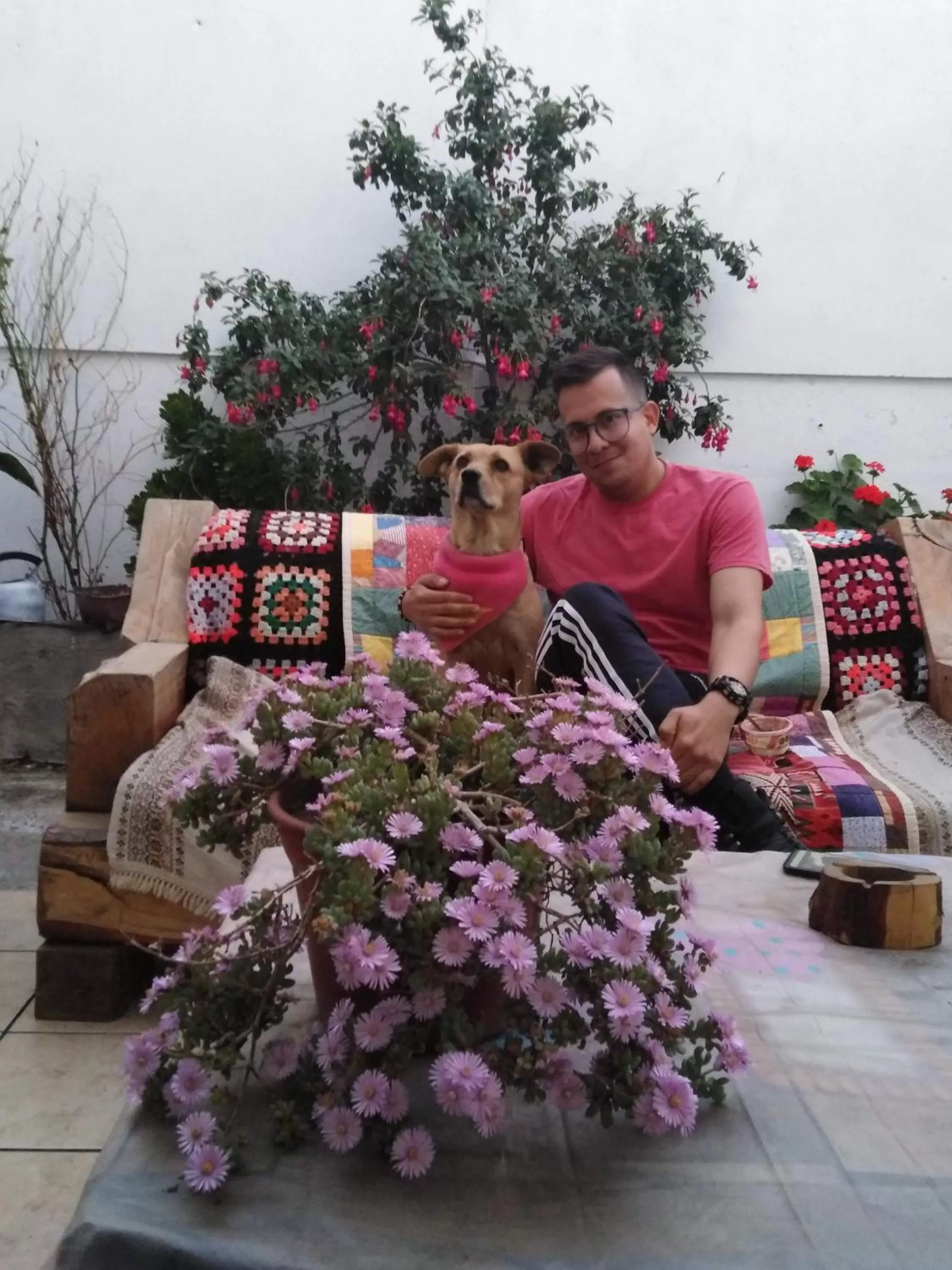 Patio in Shalom_MatSofy