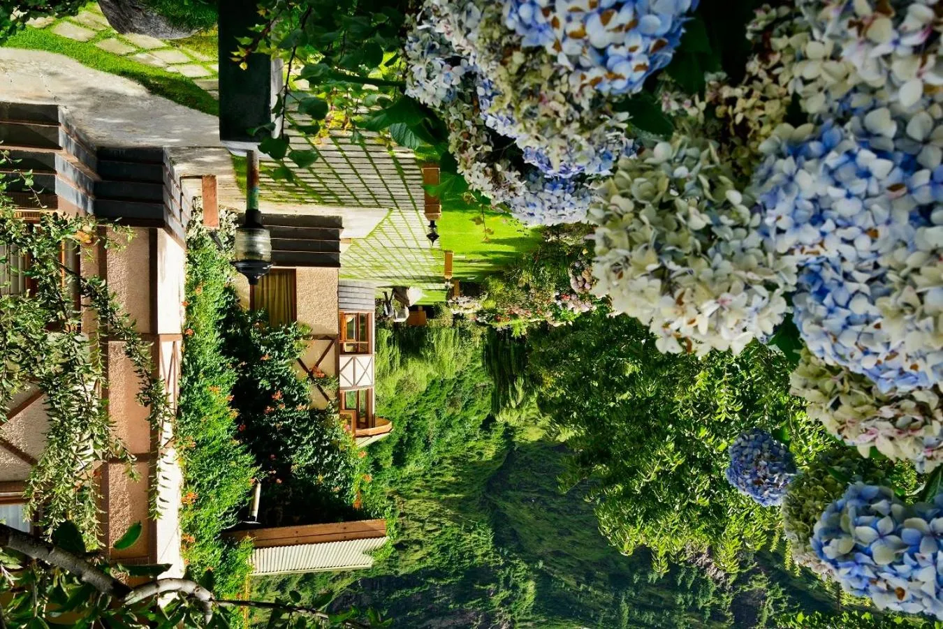 Solang Valley Resort