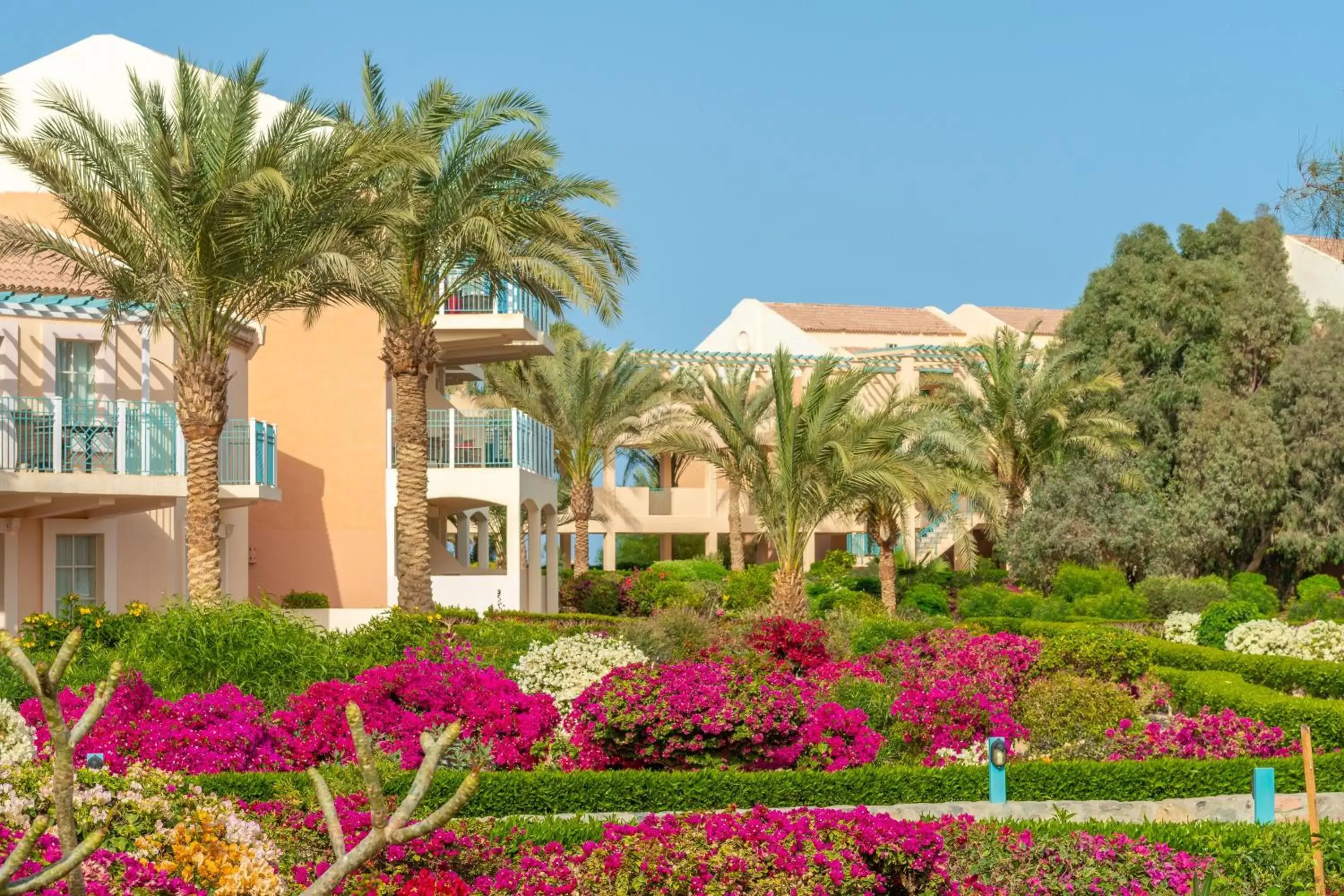 Garden view, Property Building in Movenpick Resort & Spa El Gouna