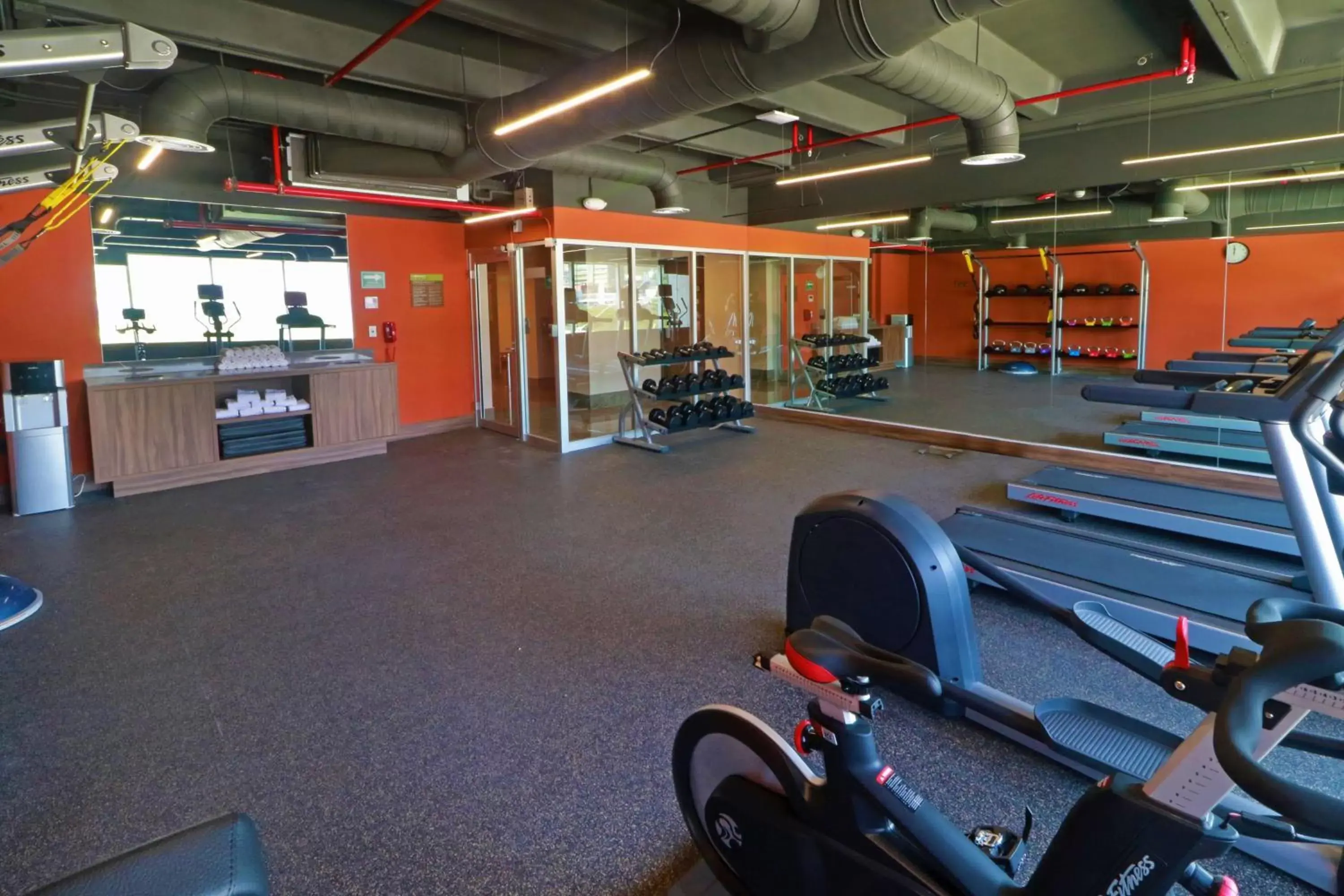 Fitness centre/facilities, Fitness Center/Facilities in Hilton Garden Inn Monterrey Obispado