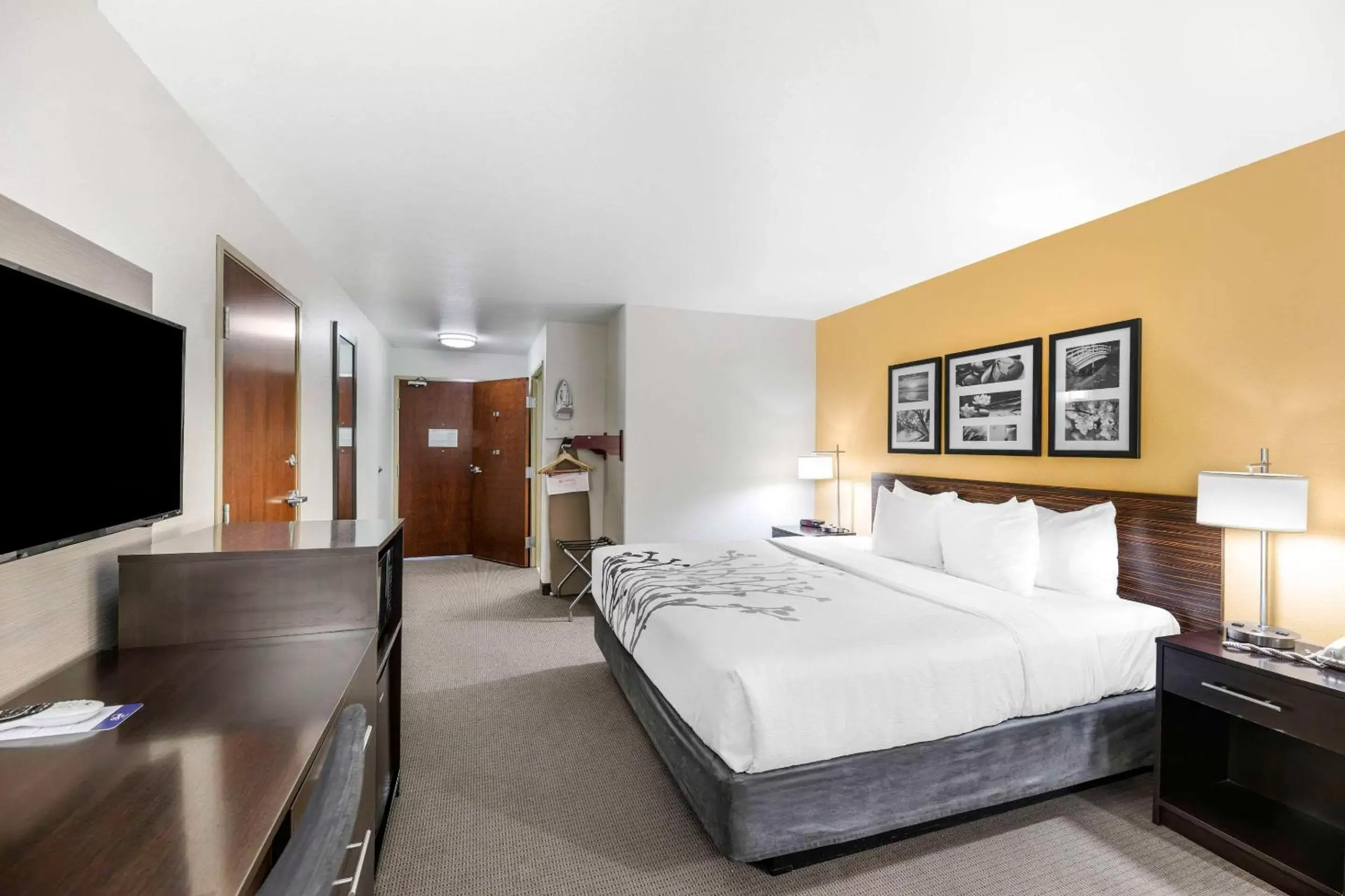 Bedroom, Bed in Sleep Inn & Suites Carlsbad Caverns Area