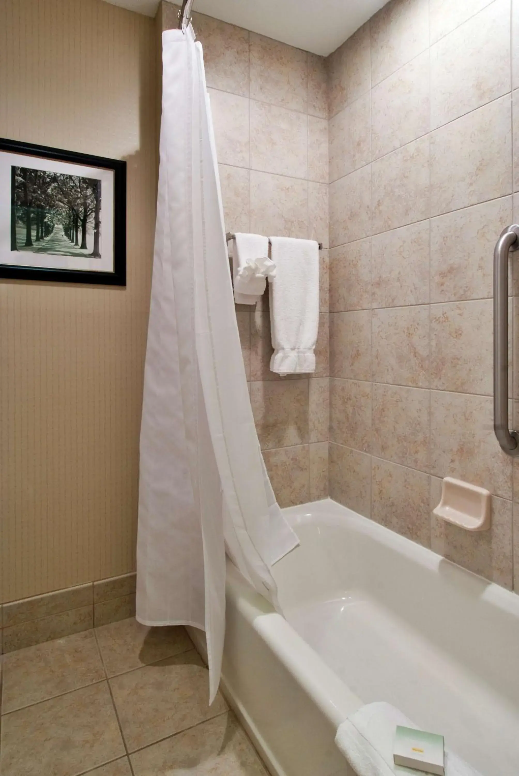 Bathroom in Homewood Suites Dayton-Fairborn